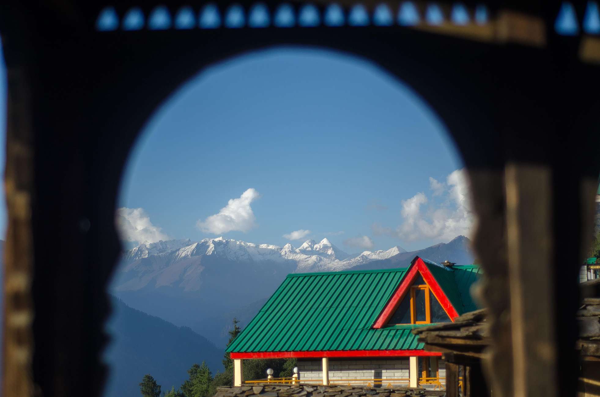 Misty forest trees in Koppa