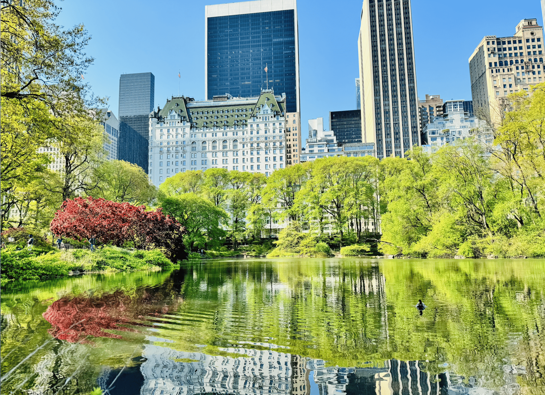NYC: Central Park Guided Pedicab Tour