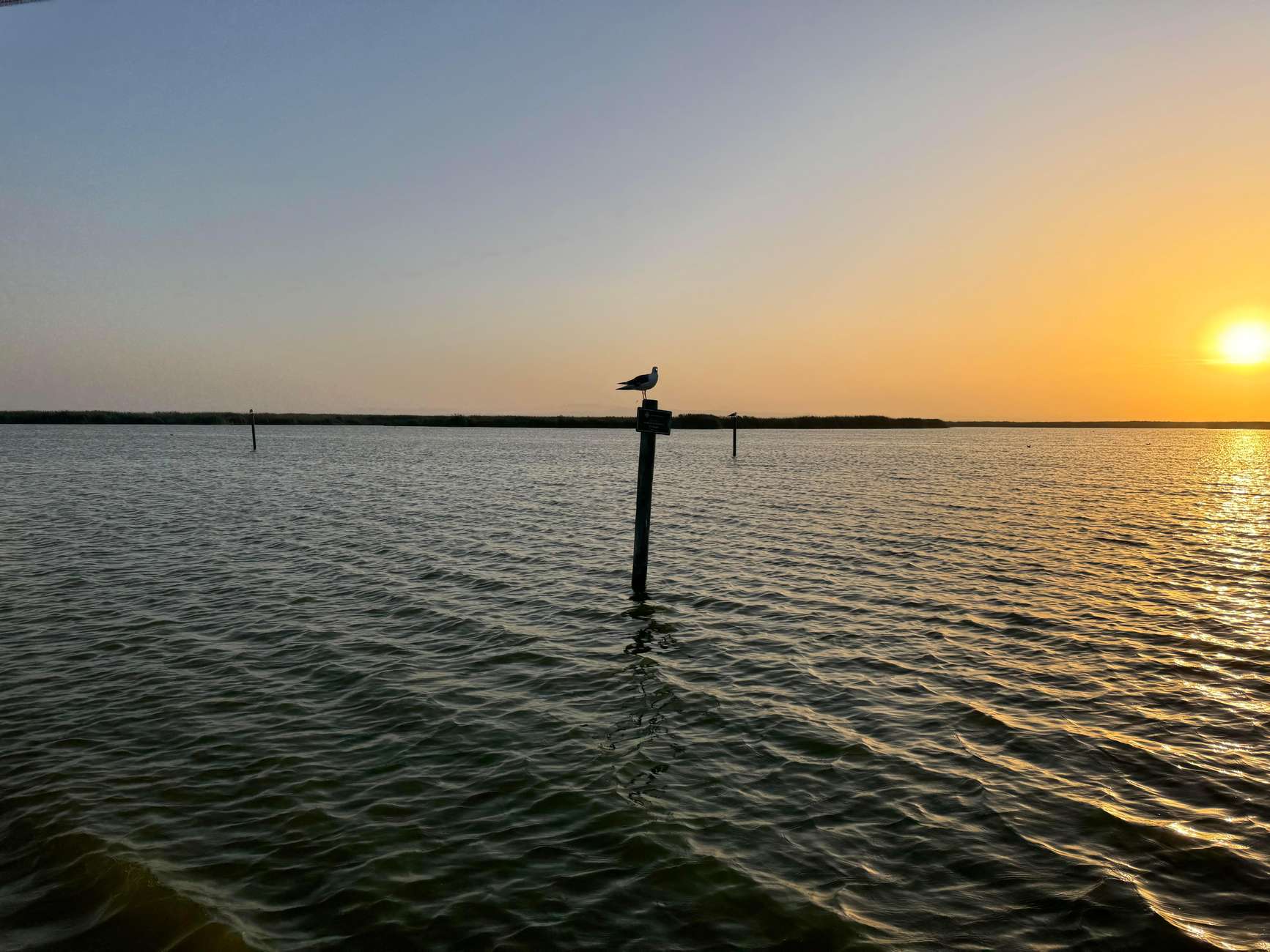 Albufera Fahrradabenteuer: Feuchtgebiete, Strände & Artenvielfalt