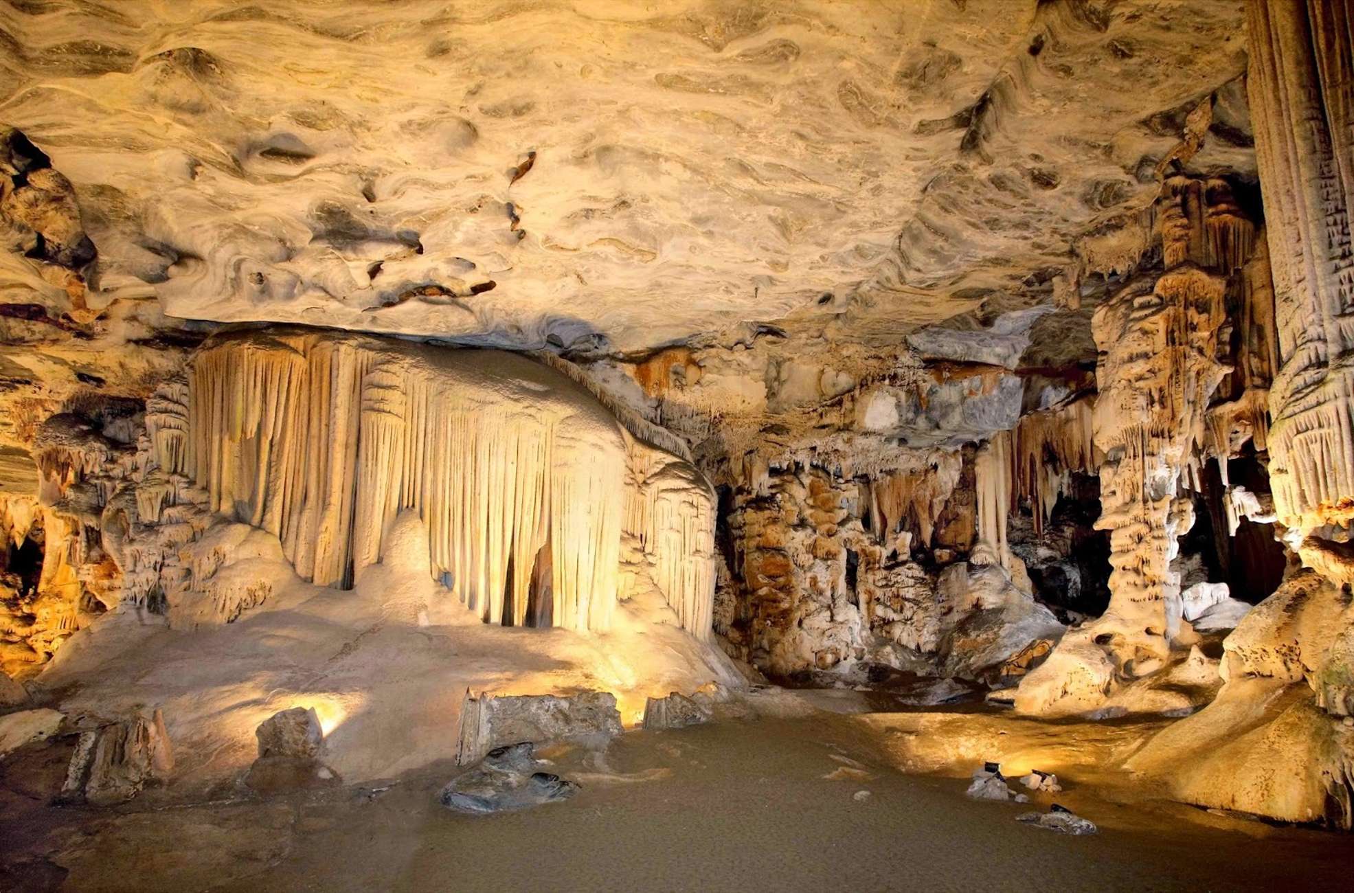 Cradle of Humankind and Sterkfontein Caves Half-Day Tour