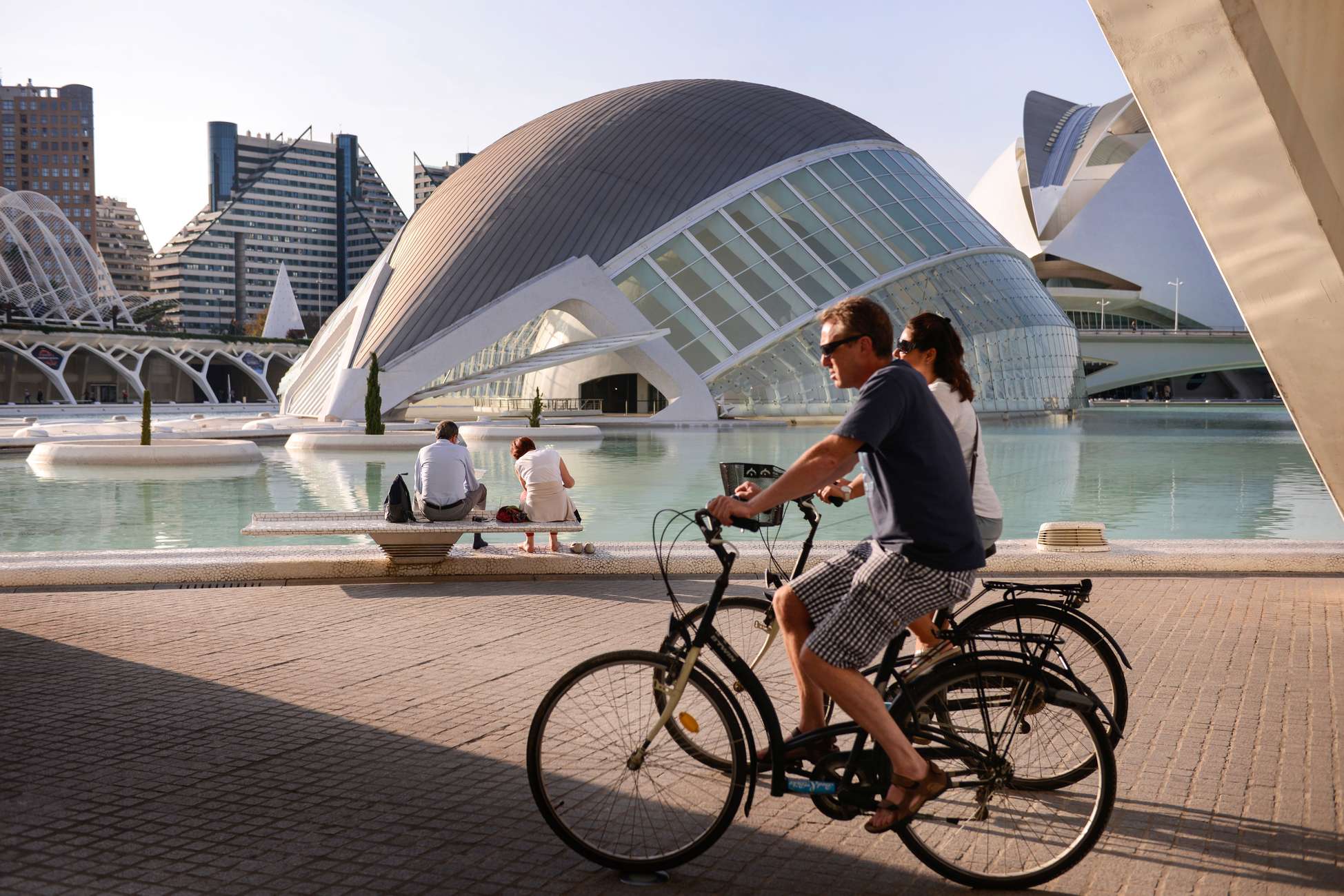 Valencia: Oceanogràfic & Hemisfèric Kombiticket