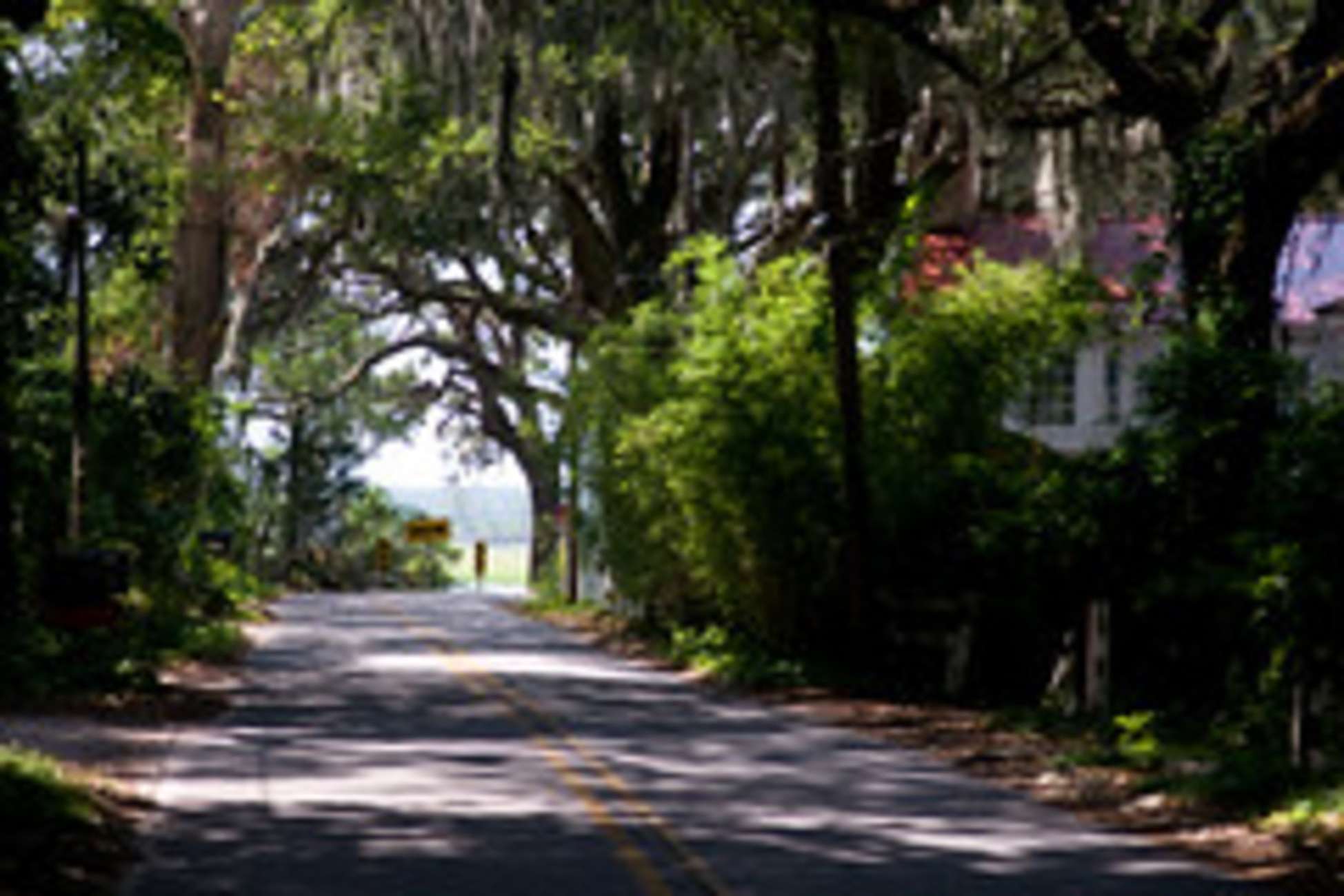 Bonaventure Cemetery & Wormsloe State Historic Site Tour