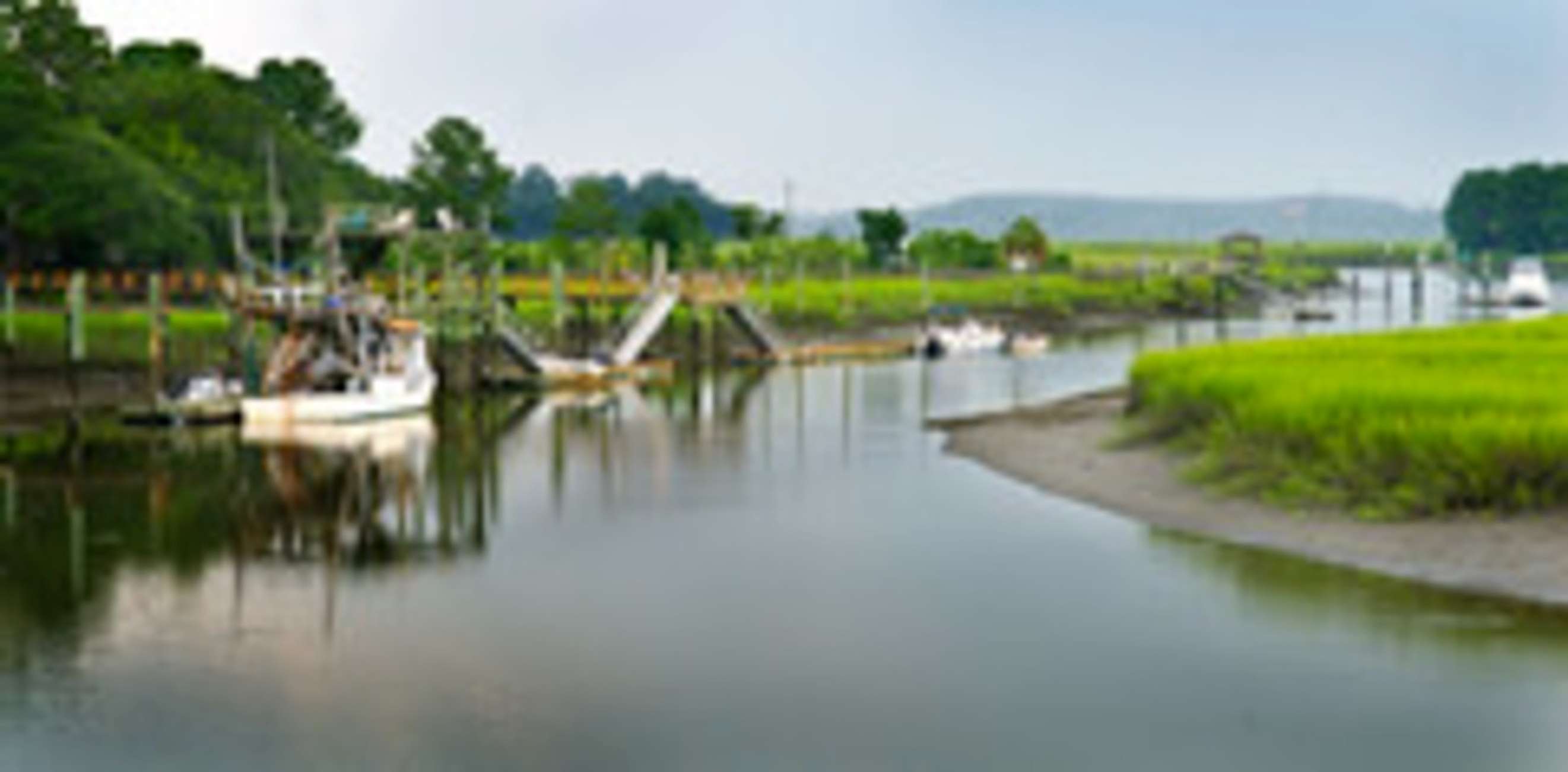 Bonaventure Cemetery & Wormsloe State Historic Site Tour