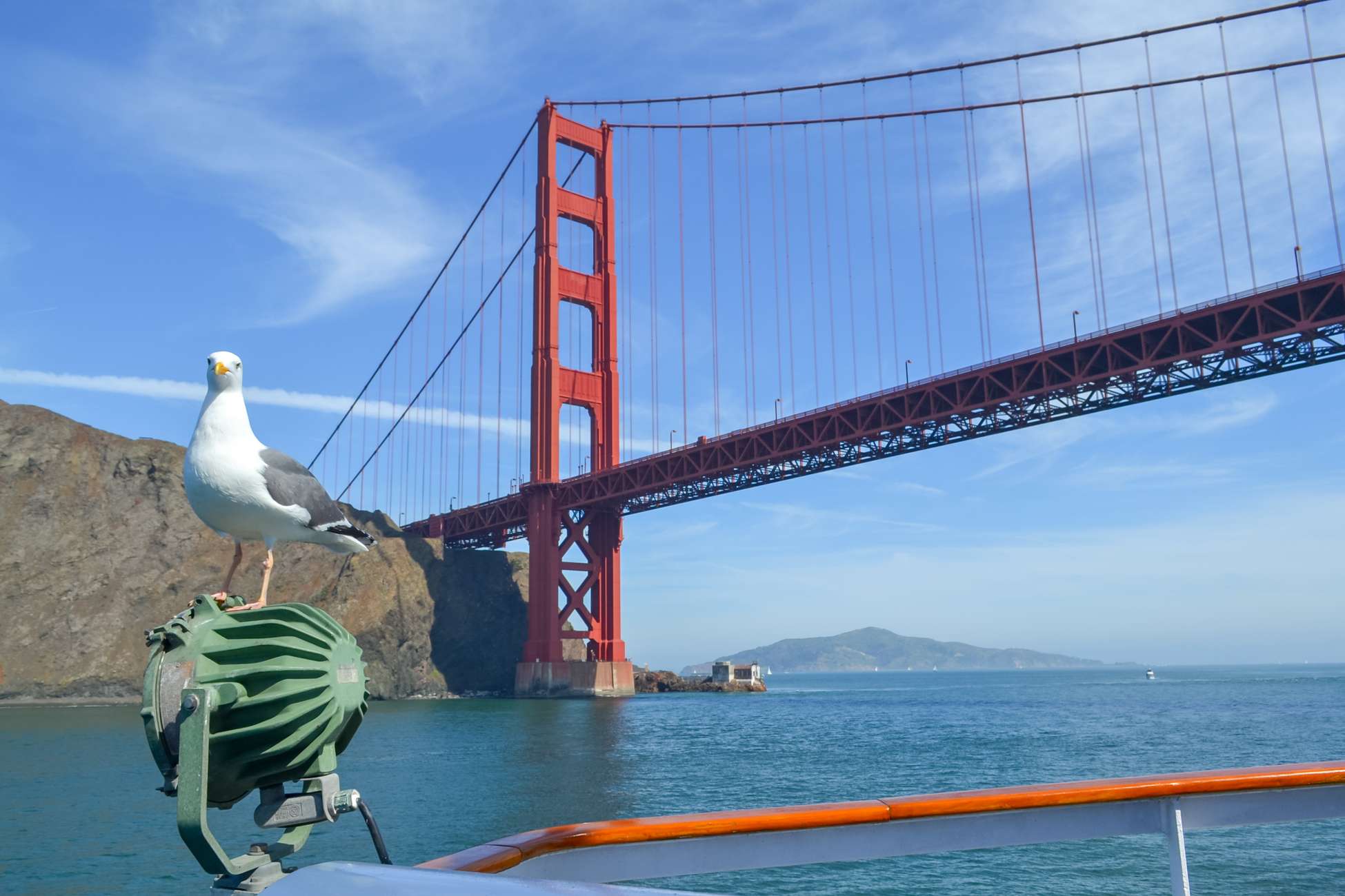 San Francisco: City Cruises Buffet Lunch or Dinner Cruise