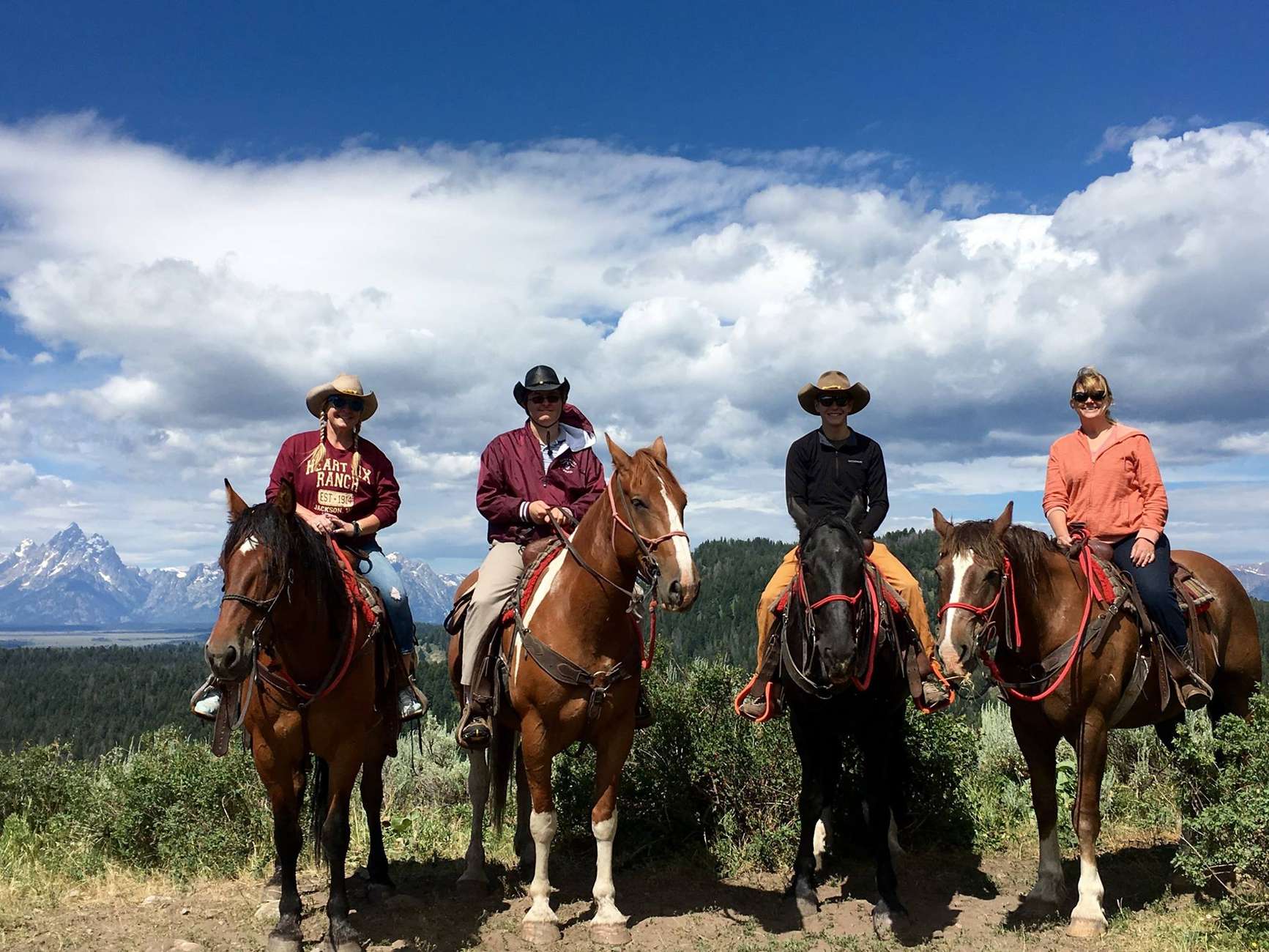 Jackson Hole: Bridger-Teton National Forest Horseback Ride