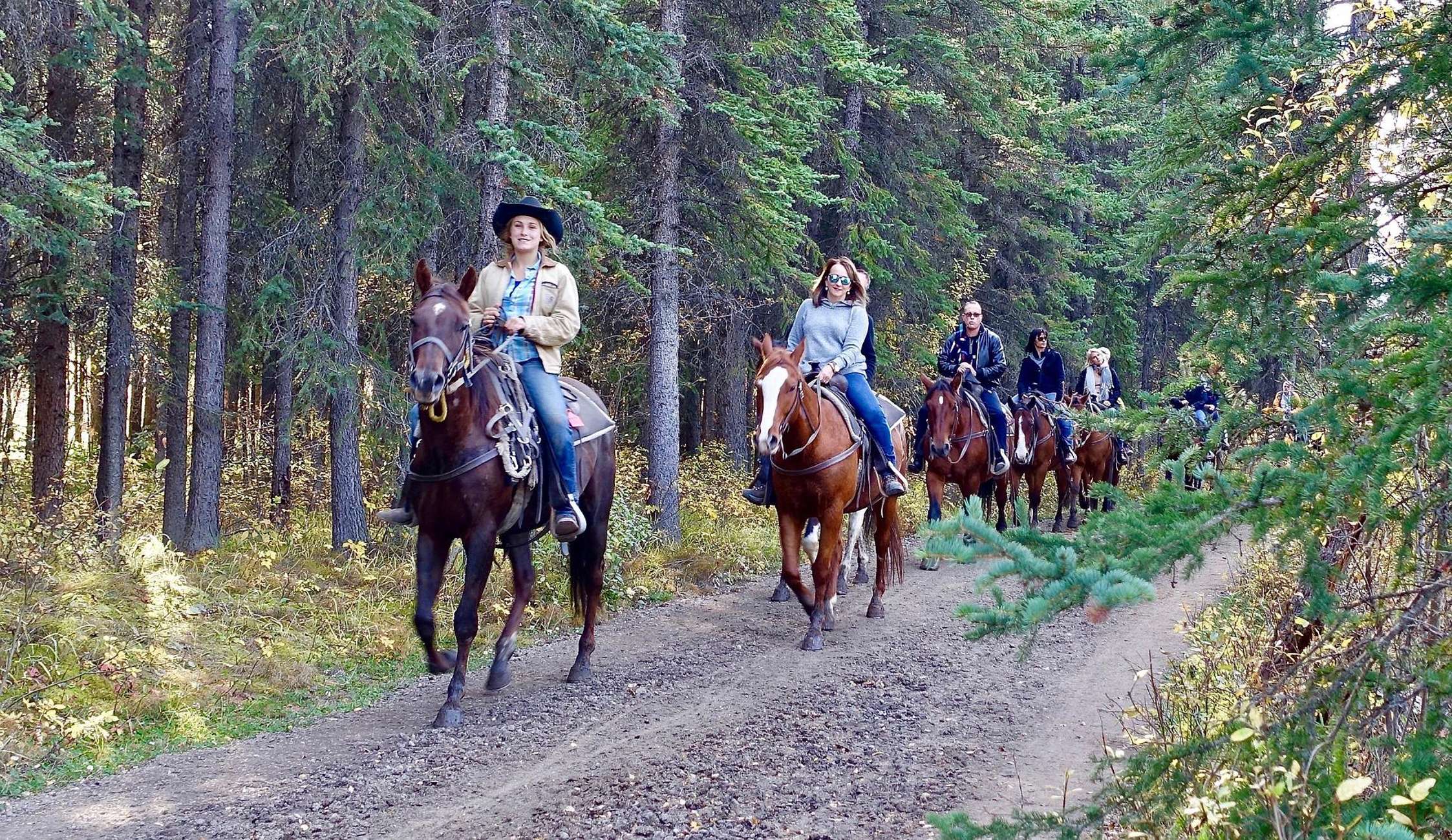 Jackson Hole: Bridger-Teton National Forest Horseback Ride