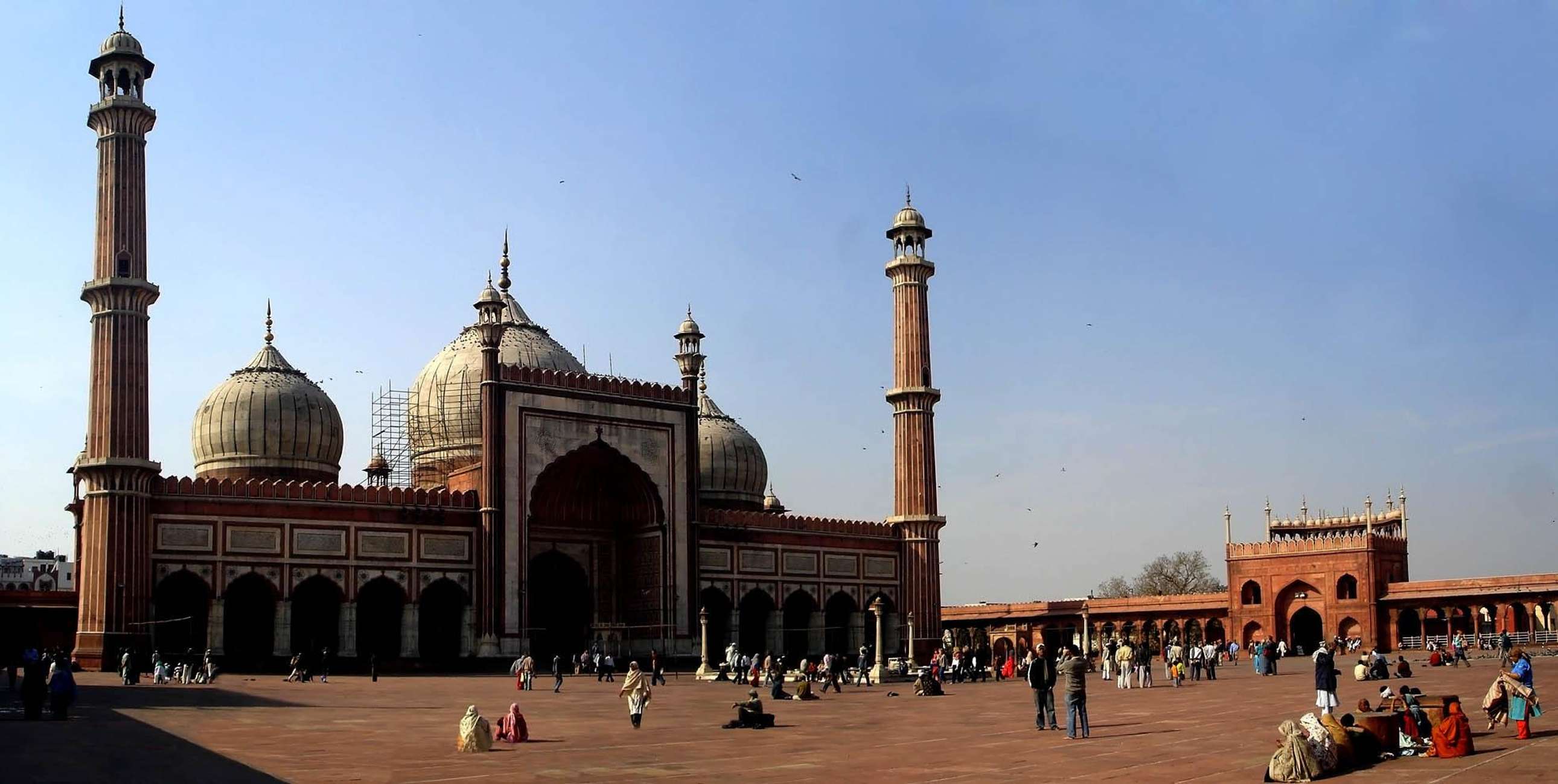 Delhi: Create Your Own Itinerary - Private Tour & Transfer