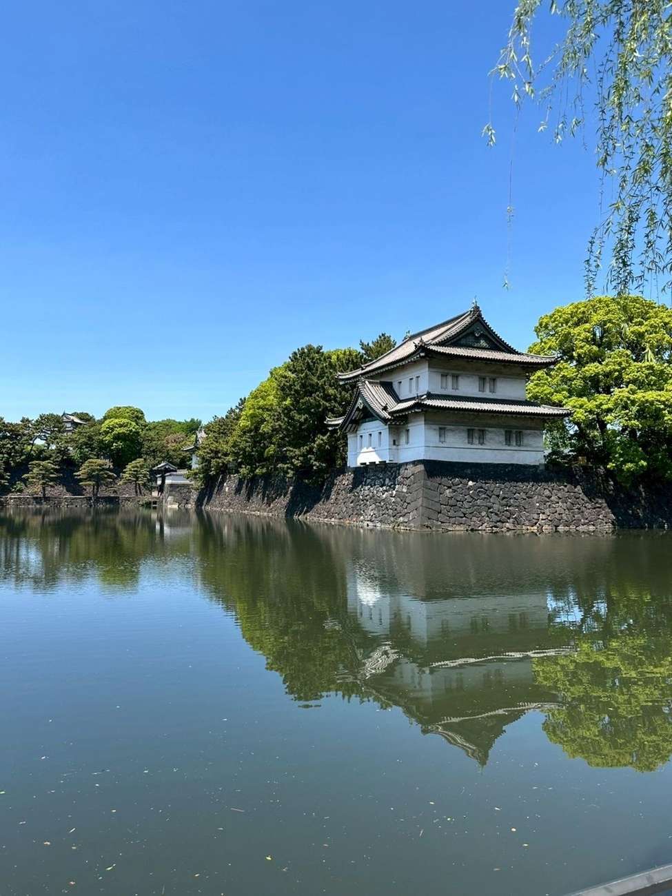 Tokyo: Imperial Palace and Shogun Walking Tour