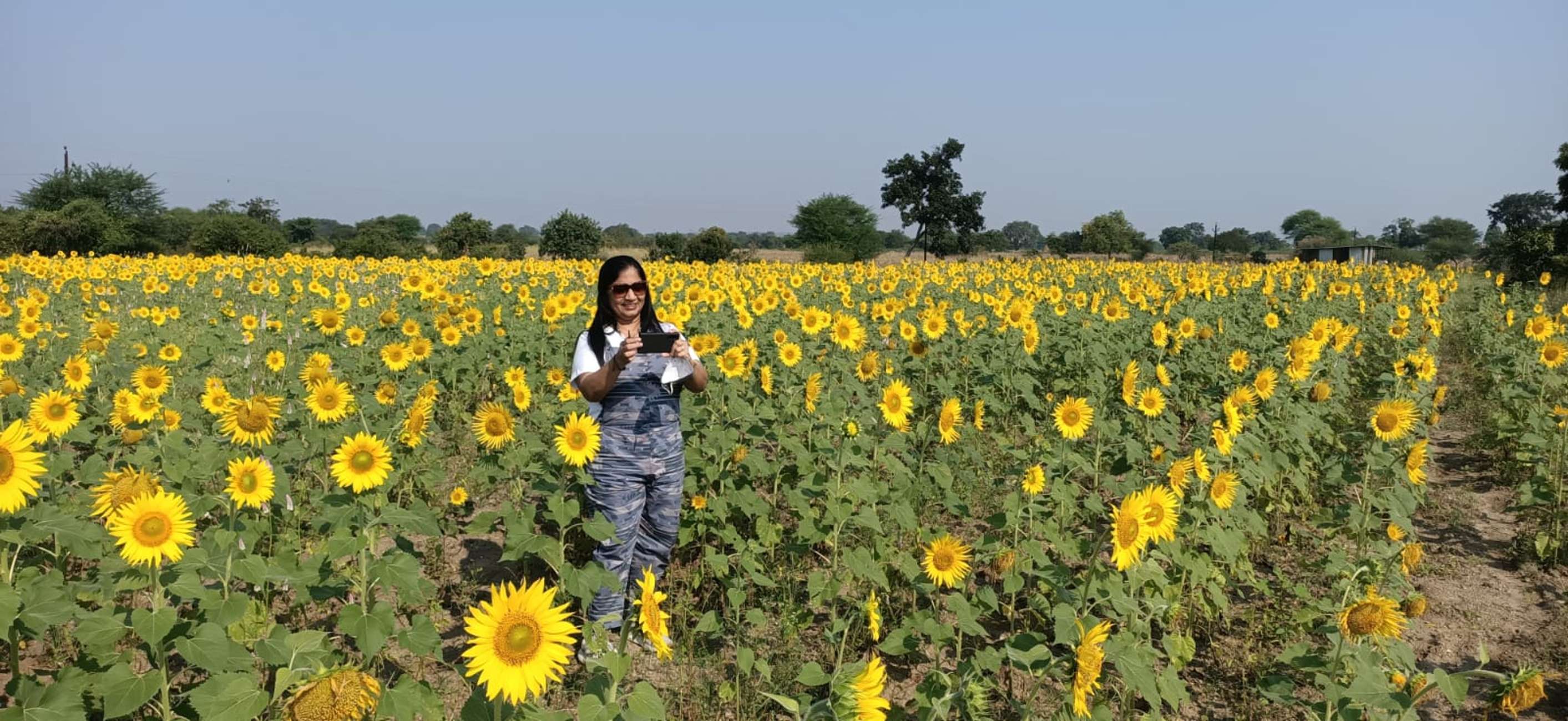 From Aurangabad: Ajanta & Ellora Day Tour with All Inclusion