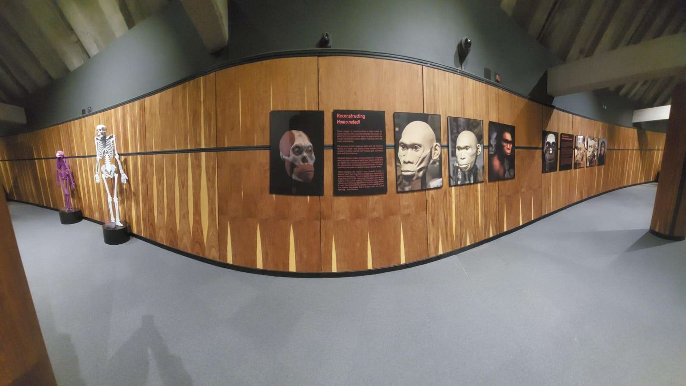 From Johannesburg: Cradle of Humankind Private Half-Day Tour