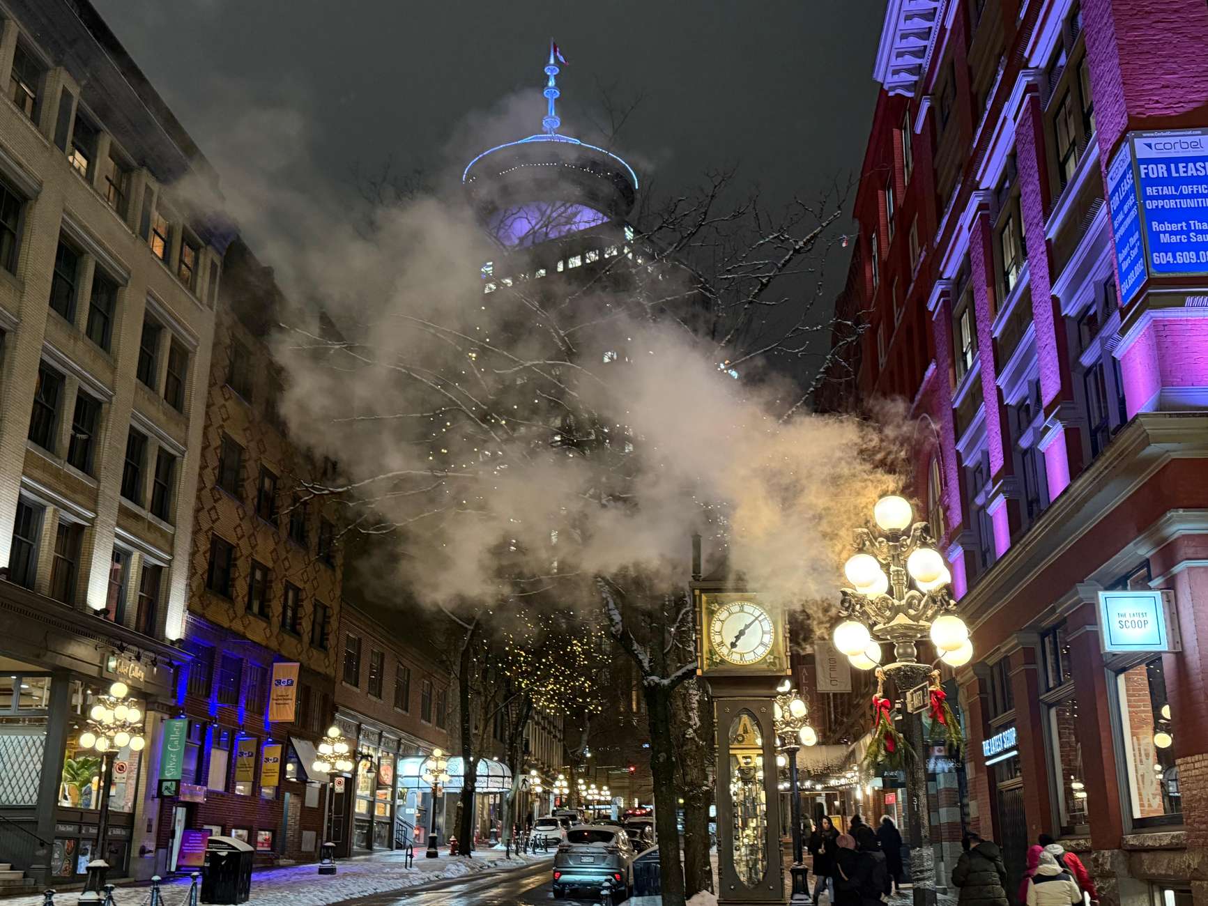 Vancouver Tour/Car/Grandville Island/Queen Elizabeth/China T