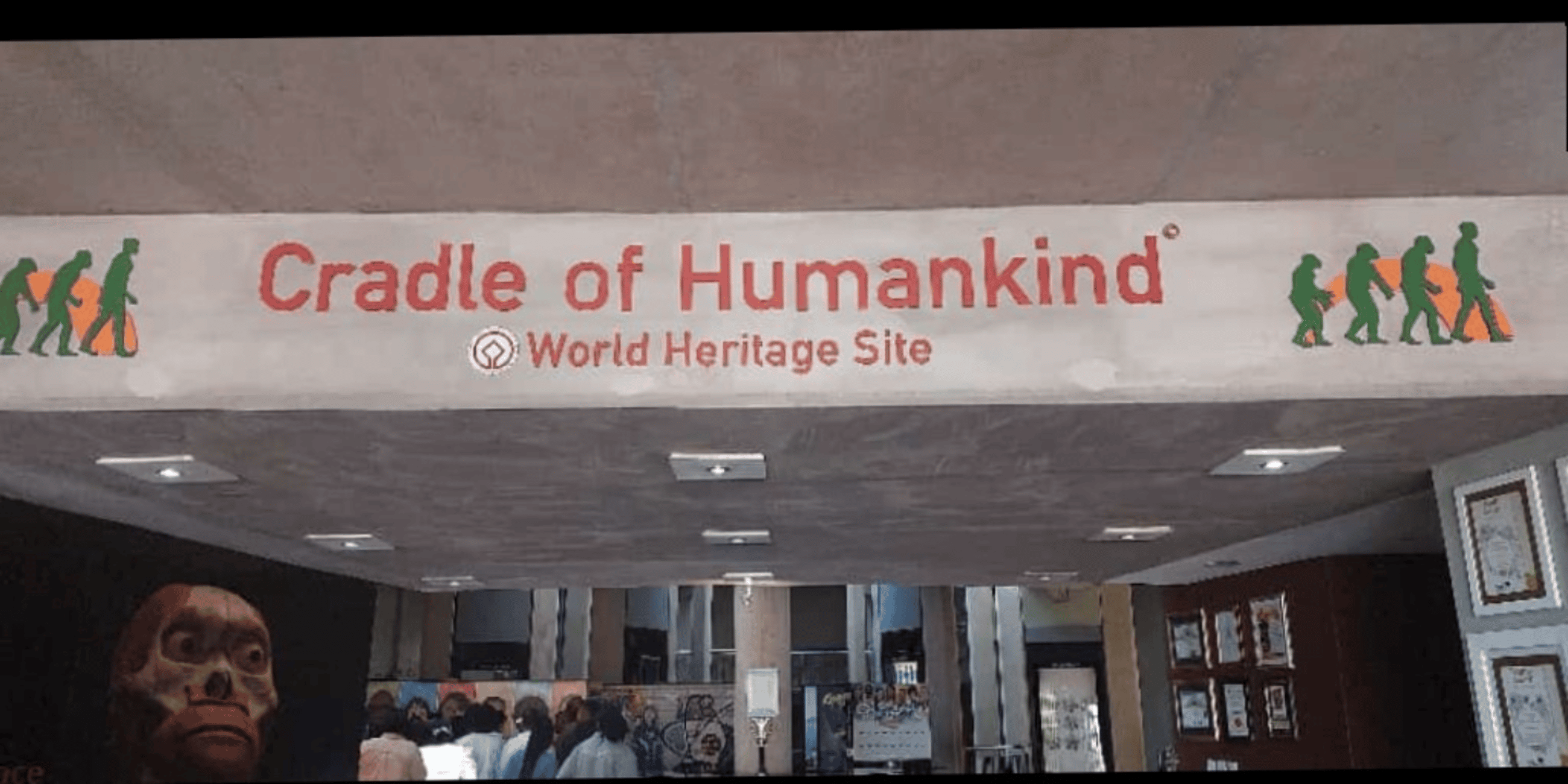 From Johannesburg: Cradle of Humankind Private Half-Day Tour