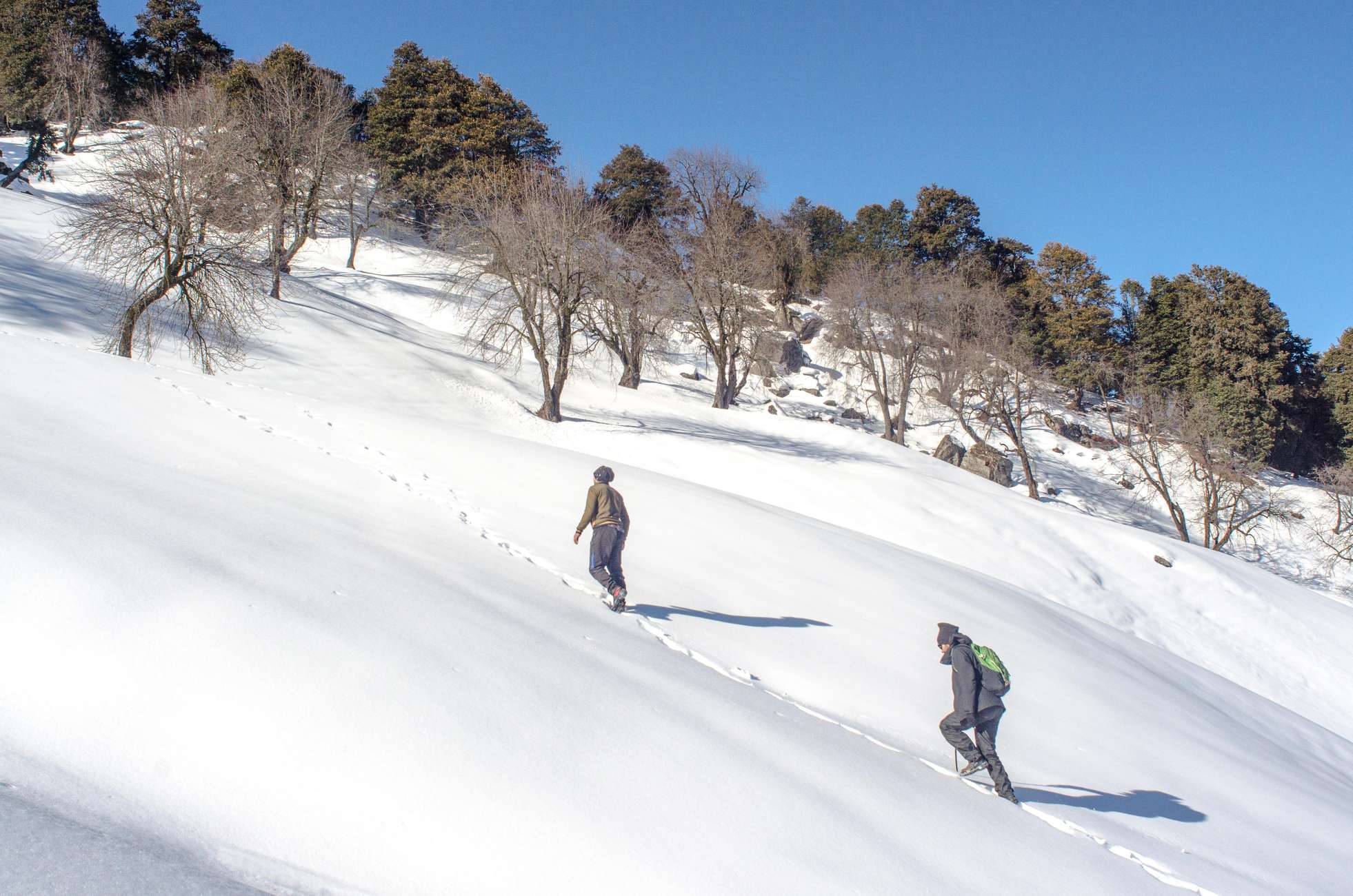 Aerial view of a star-shaped fort in Sakleshpur