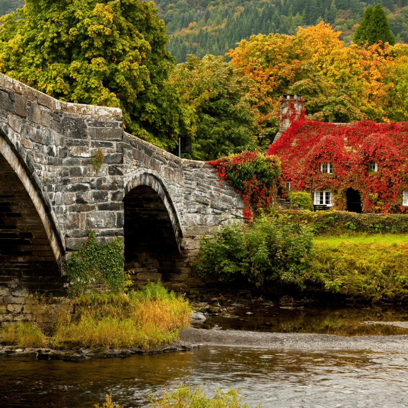 From Manchester: North Wales and Caernarfon Castle Day Trip