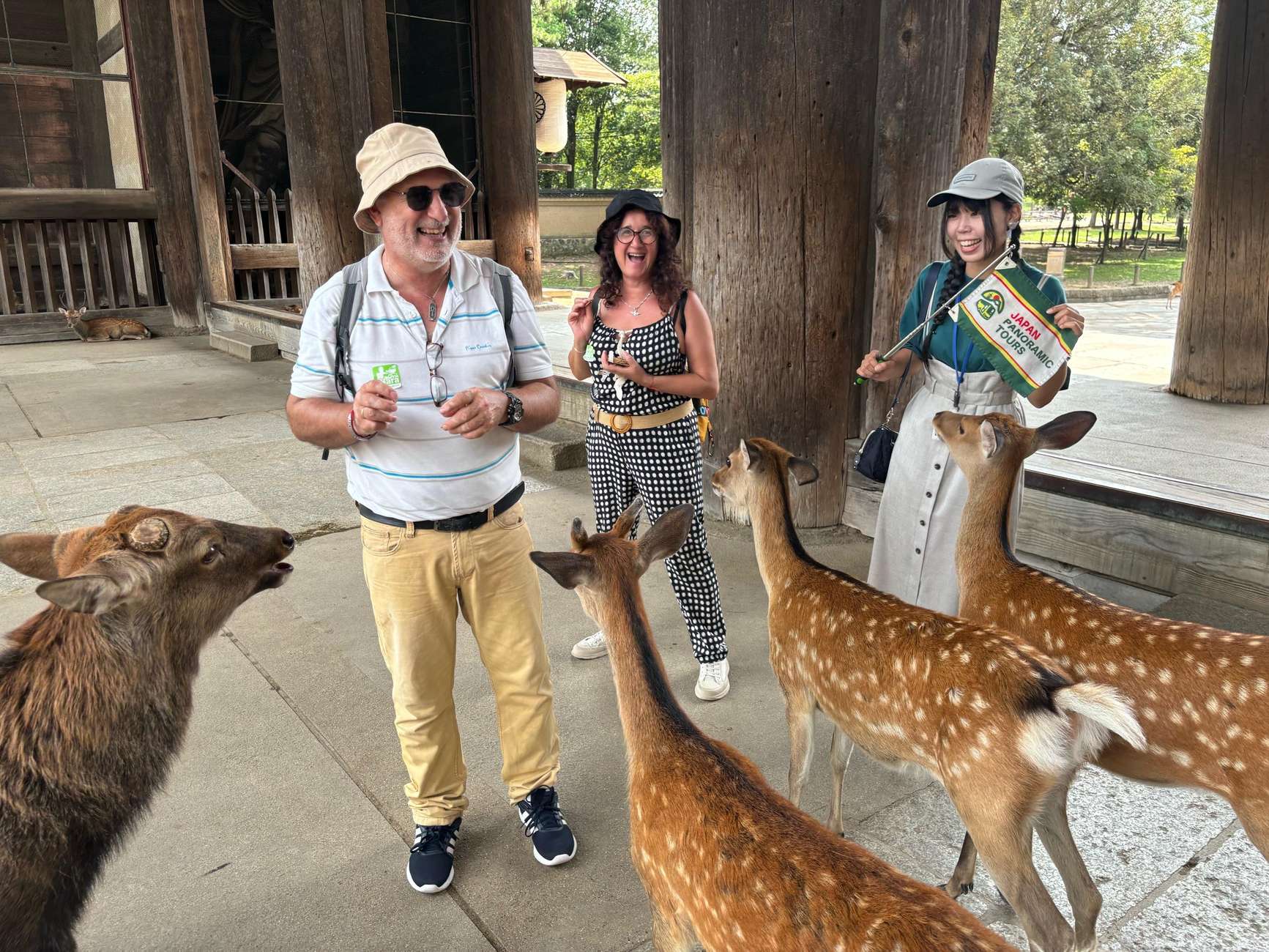 From Kyoto: Nara Guided Morning Tour