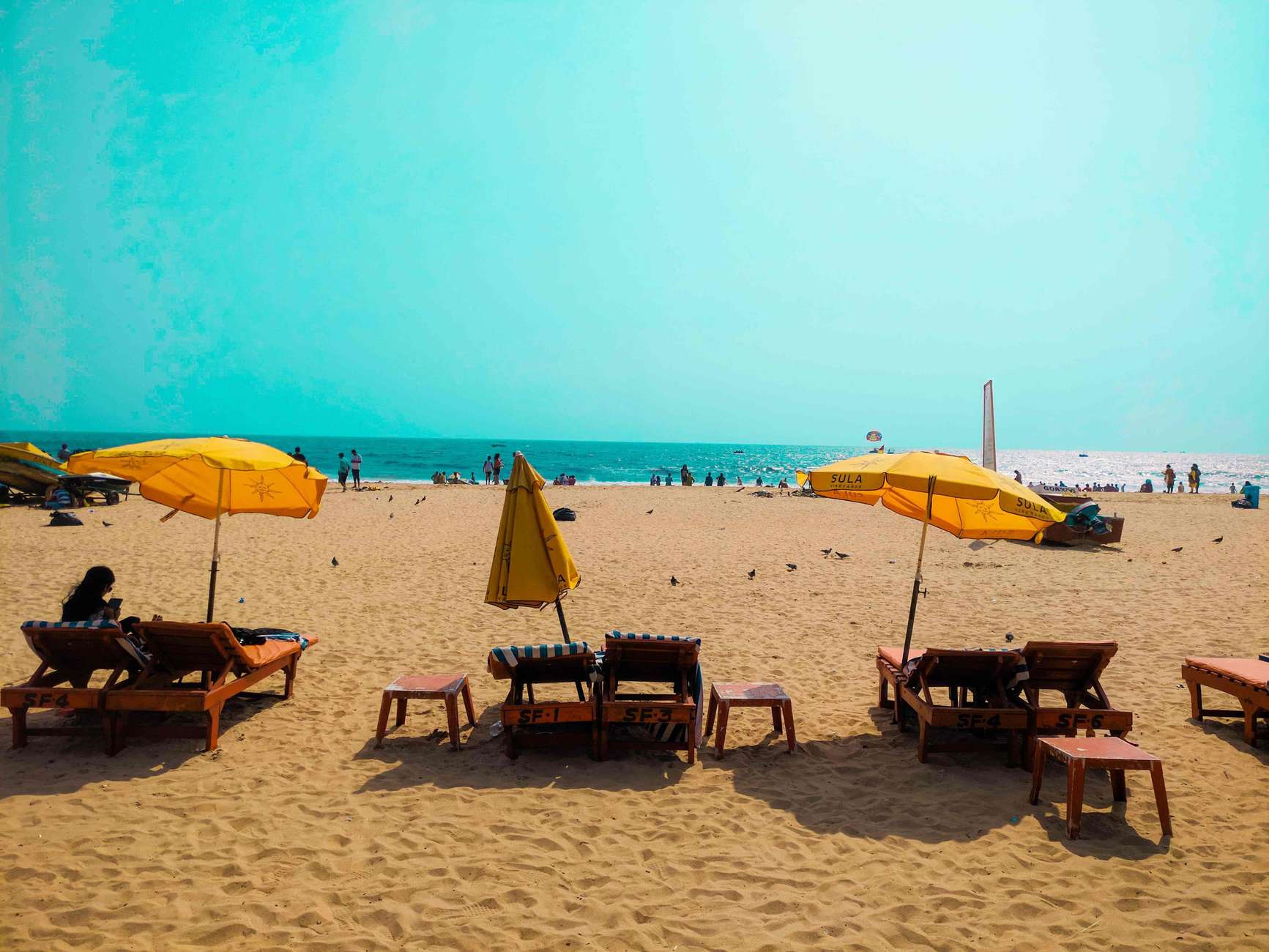 Explore The North Goa Full-Day City Sightseeing Tour