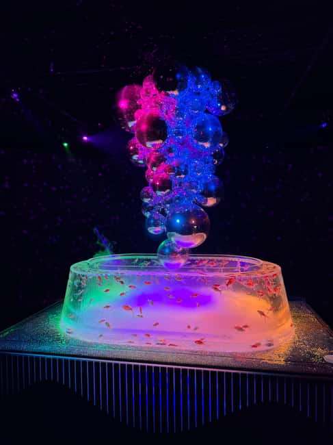 Immagine nº 63 di Tokyo: biglietto d'ingresso all'Art Aquarium Museum GINZA attività a Tokyo, caricata dal fornitore