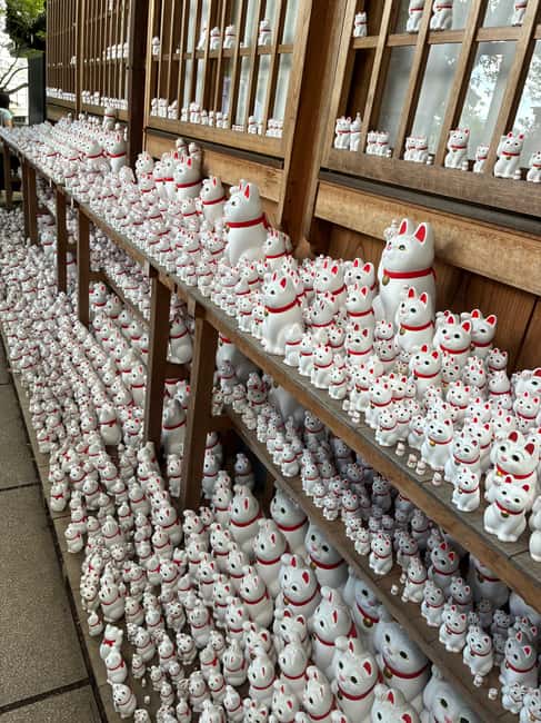 Immagine nº 1 di Tokyo: il tempio dei gatti di Gotokuji, il caffè dei gatti di Shinjuku e il tour dei gatti in 3D attività a Tokyo, caricata dal fornitore