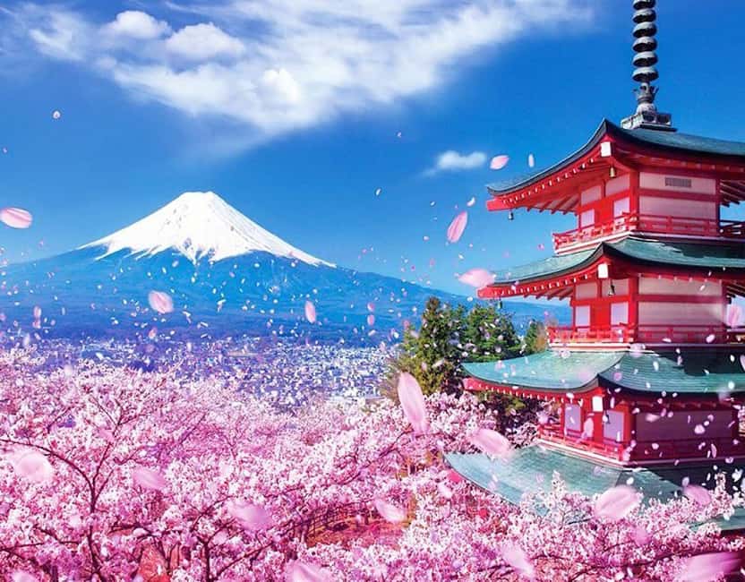 Tokyo: Private Mount Fuji and Hakone Day Trip with Guide