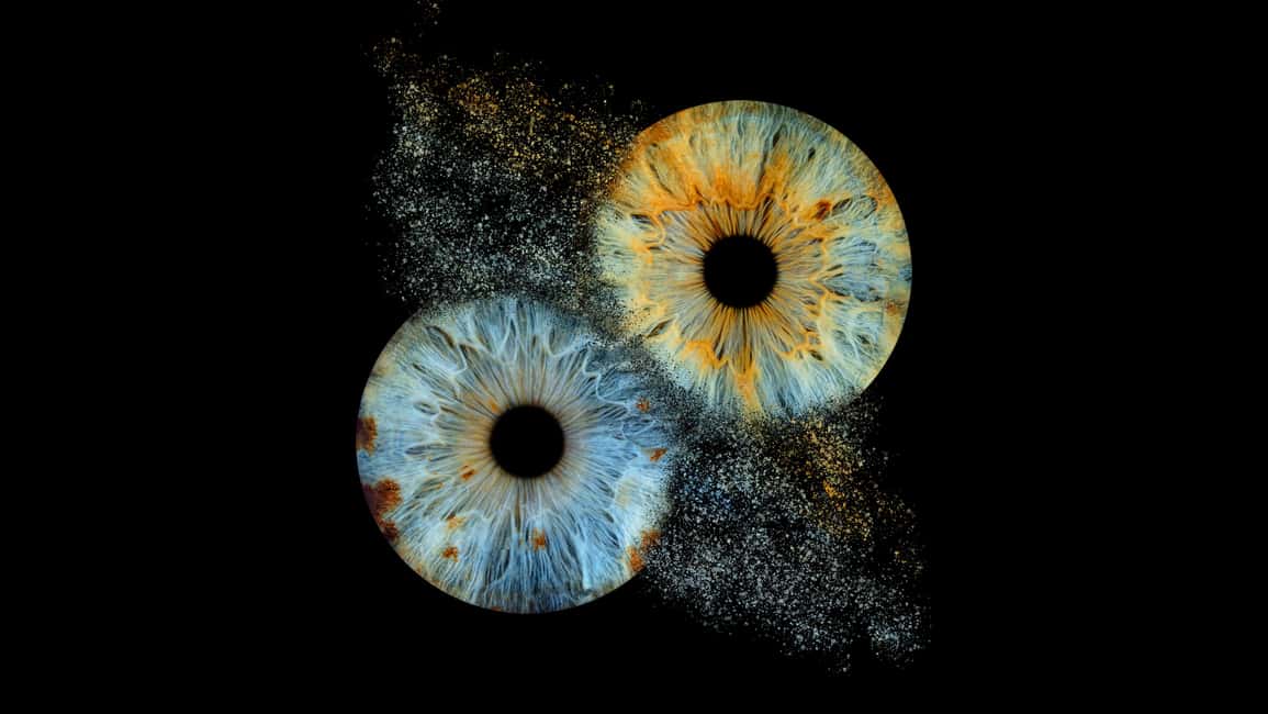 パリ・リヴォリ：アイリス・ギャラリーで、あなたの虹彩の美しさを