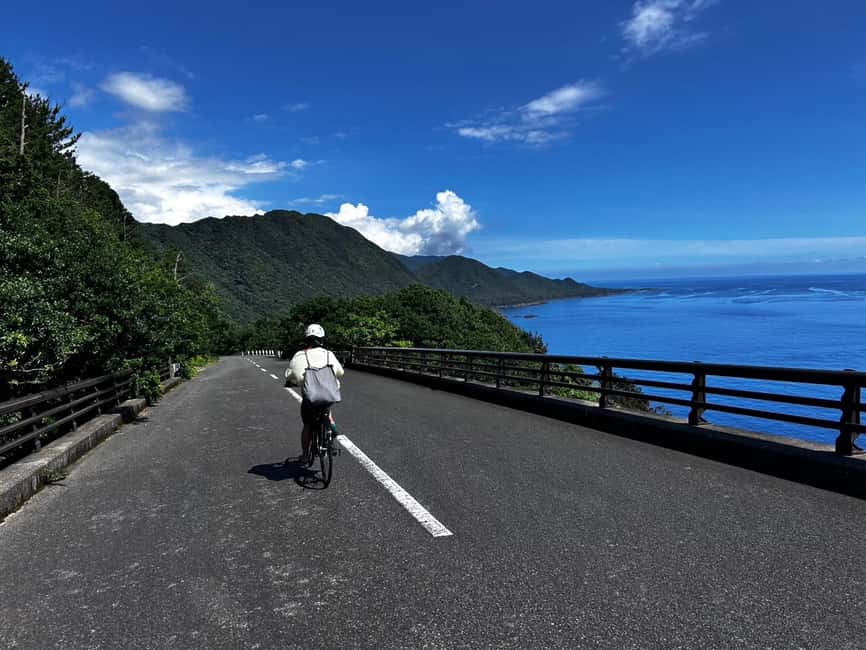 Yakushima: E-Bike Rental Plan (Pick-Up & Drop-Off Included