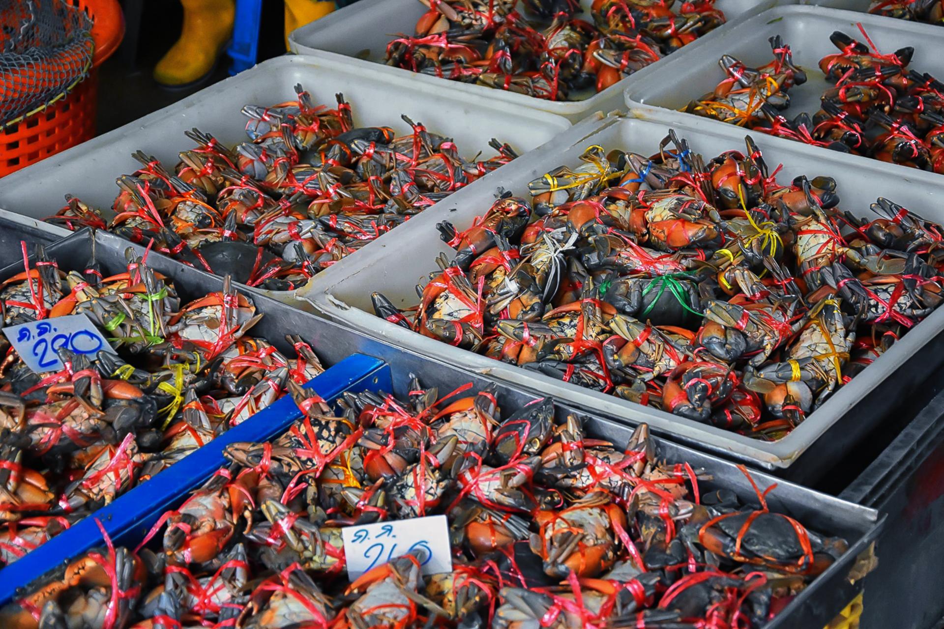 Bangkok: Damnoen Saduak Market and Maeklong Railway Market - Thumbnail 10