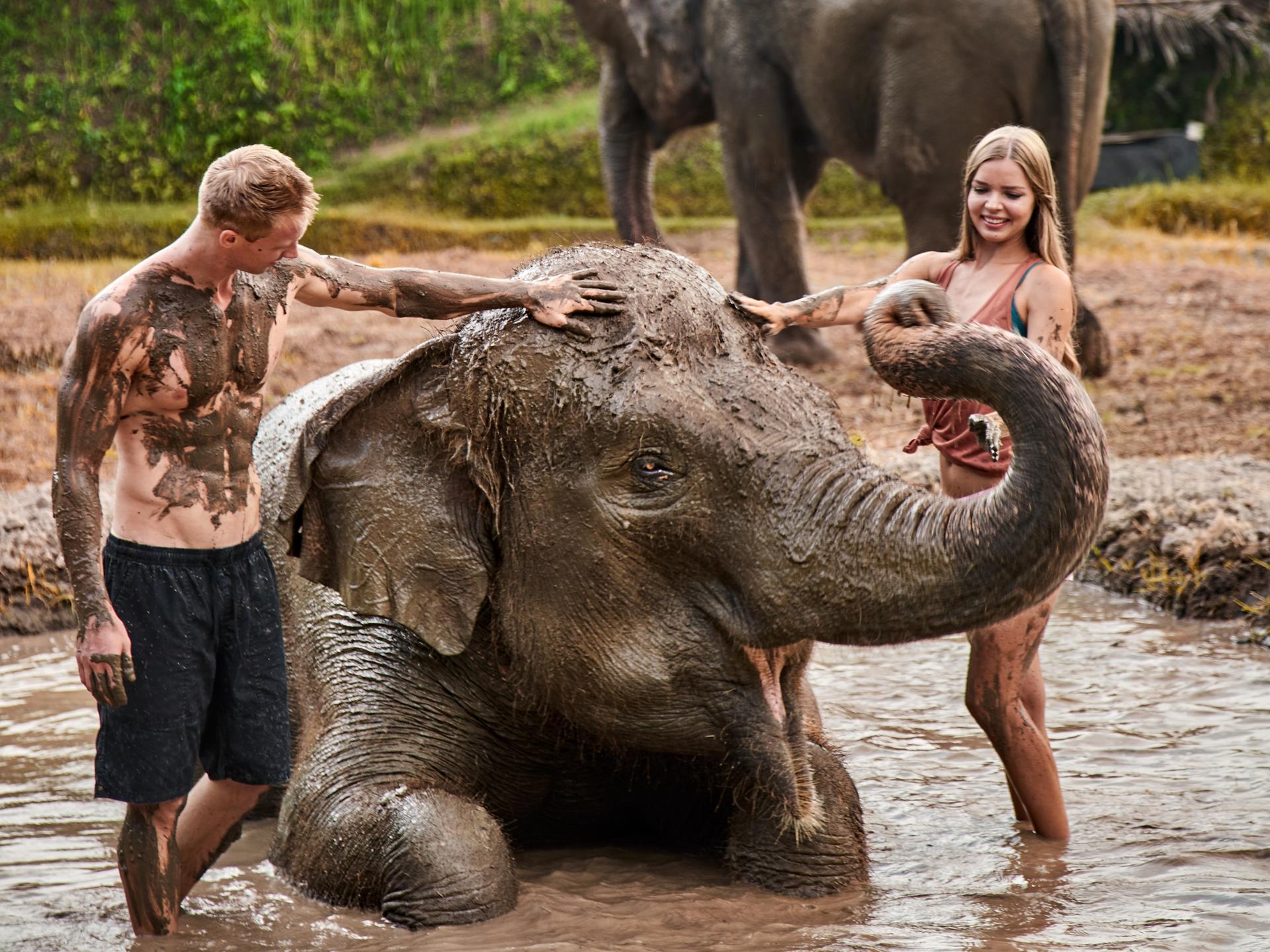 Bali Zoo: Guided Elephant Care Experience with Mud Bath - Thumbnail 7