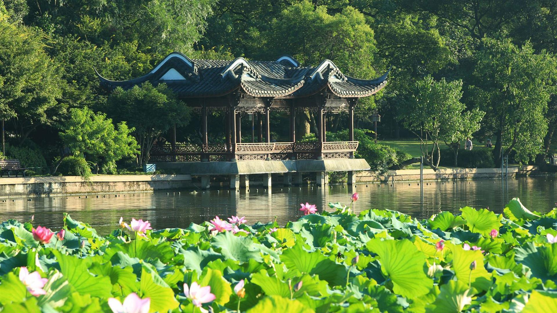 Shanghai: Private Guided Tour to Hangzhou by Bullet Train - Thumbnail 9