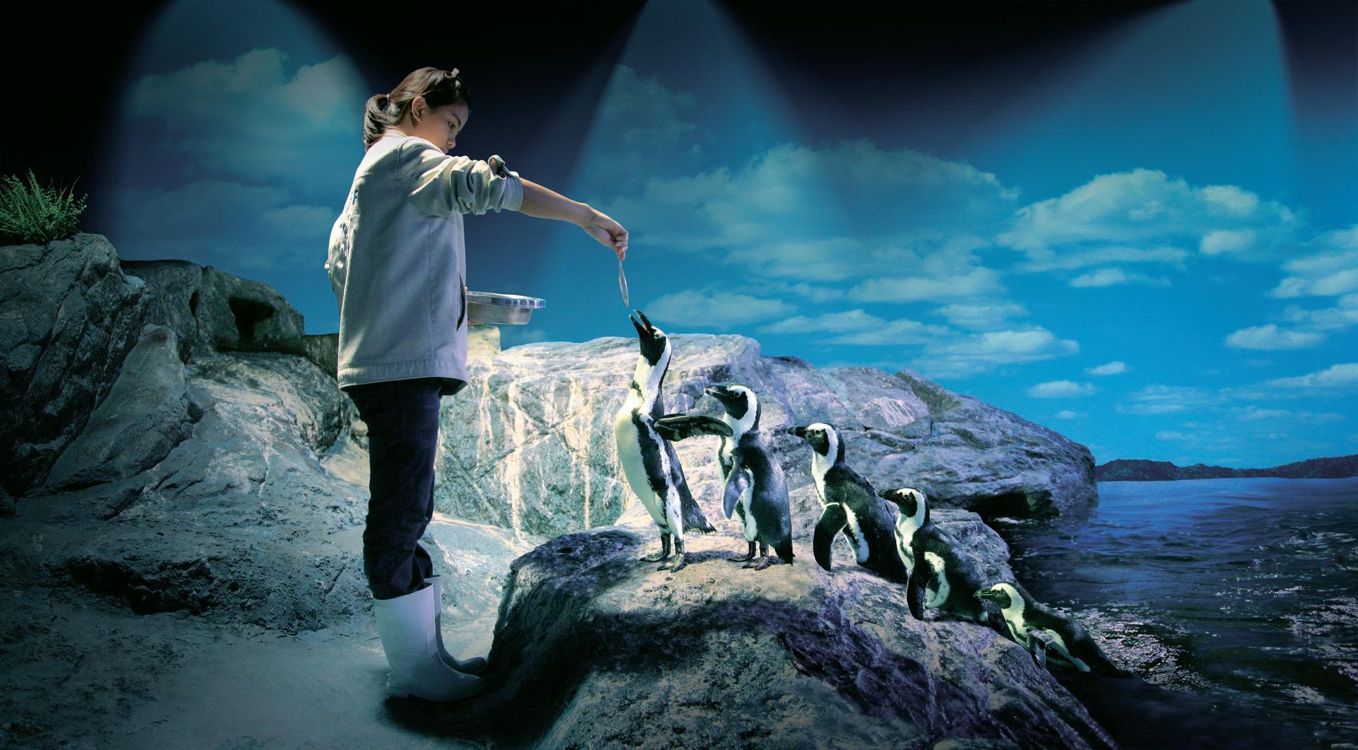 Bangkok: SEA LIFE Bangkok Ocean World Entry Ticket - Thumbnail 4