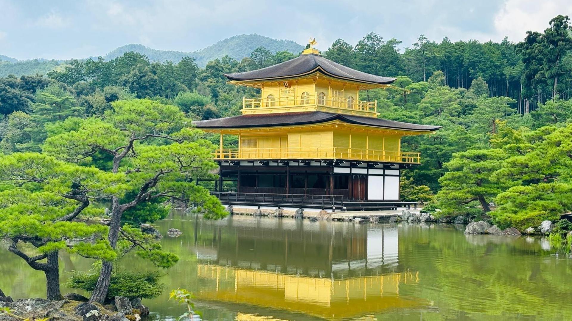 Kyoto/Osaka: Kyoto and Nara Customized Private Guided Tour - Thumbnail 8