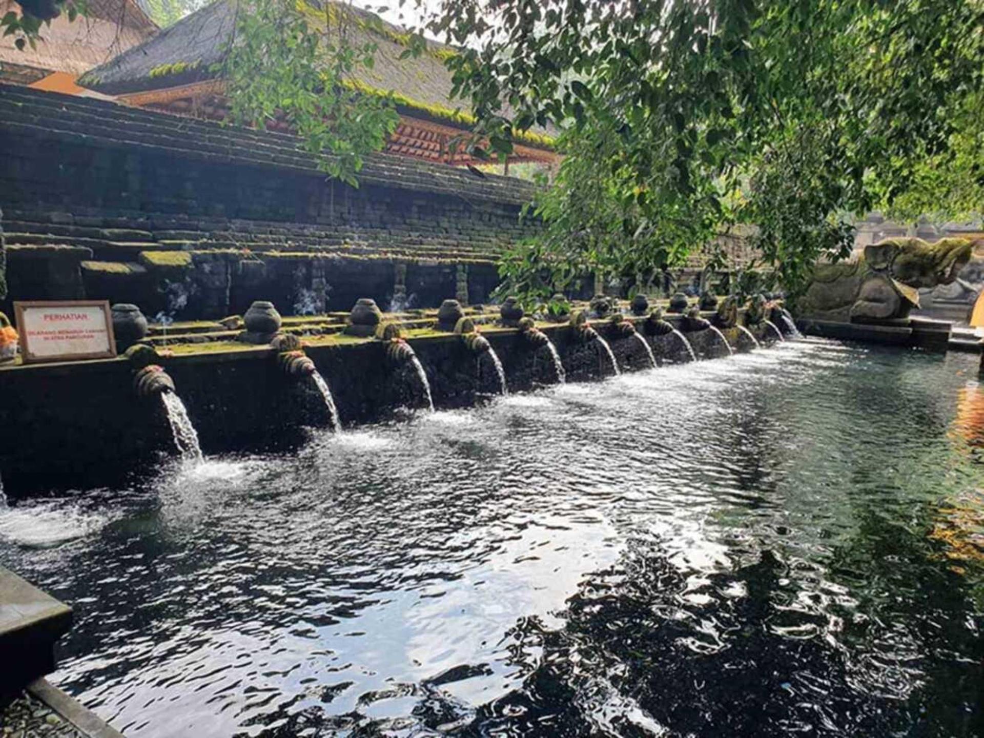 Ubud: Waterfalls, Water Temple & Rice Terraces Private Tour - Thumbnail 10