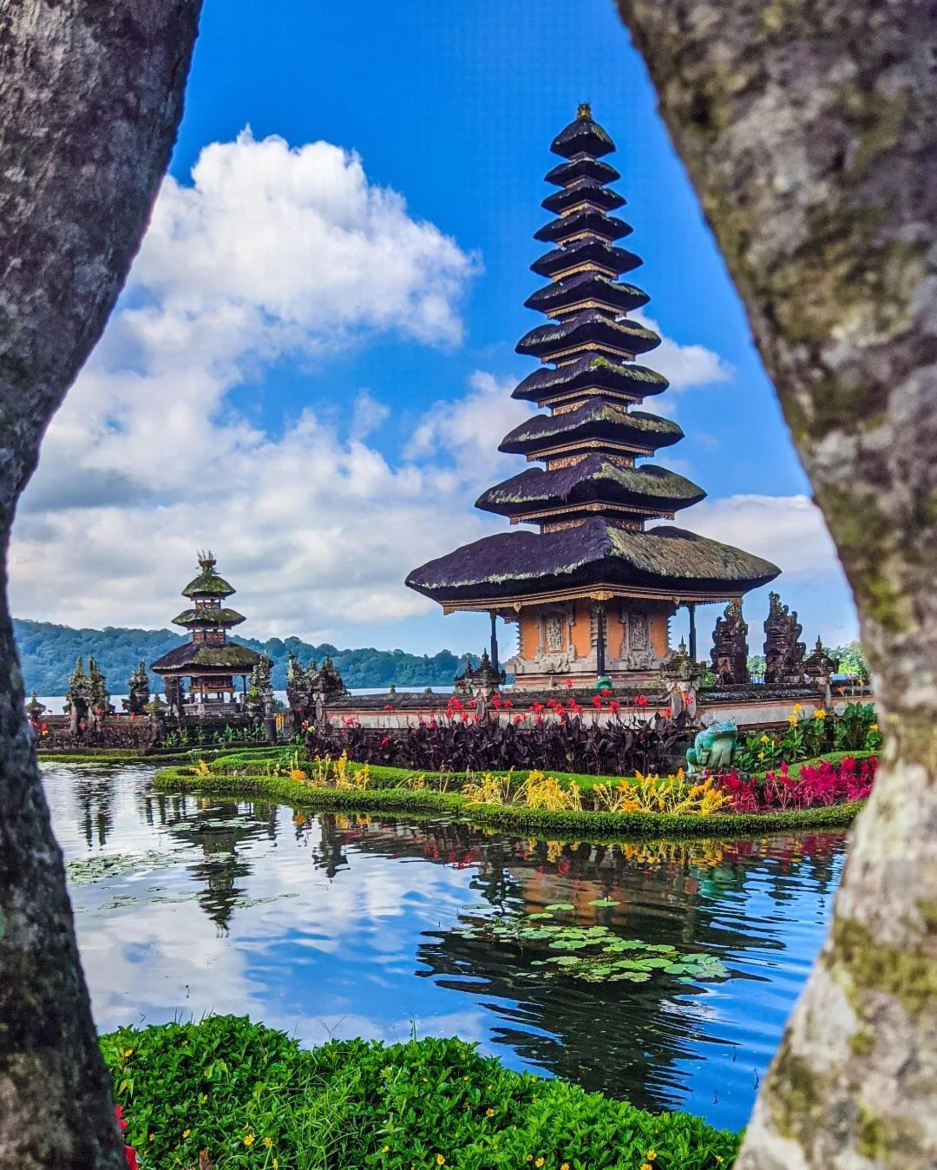North Bali: Ulun Danu, Waterfalls, Swing and Monkey Forest - Thumbnail 9