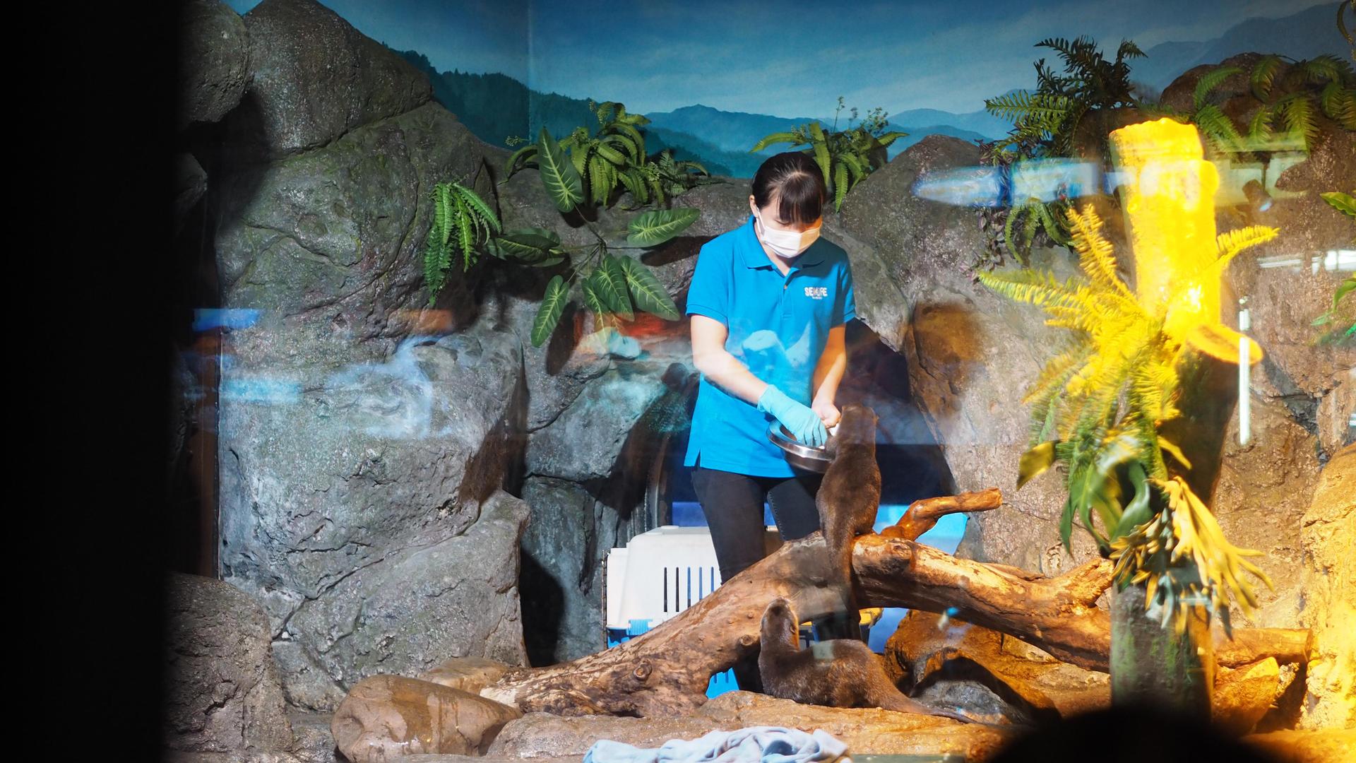 Bangkok: SEA LIFE Bangkok Ocean World Entry Ticket - Thumbnail 9