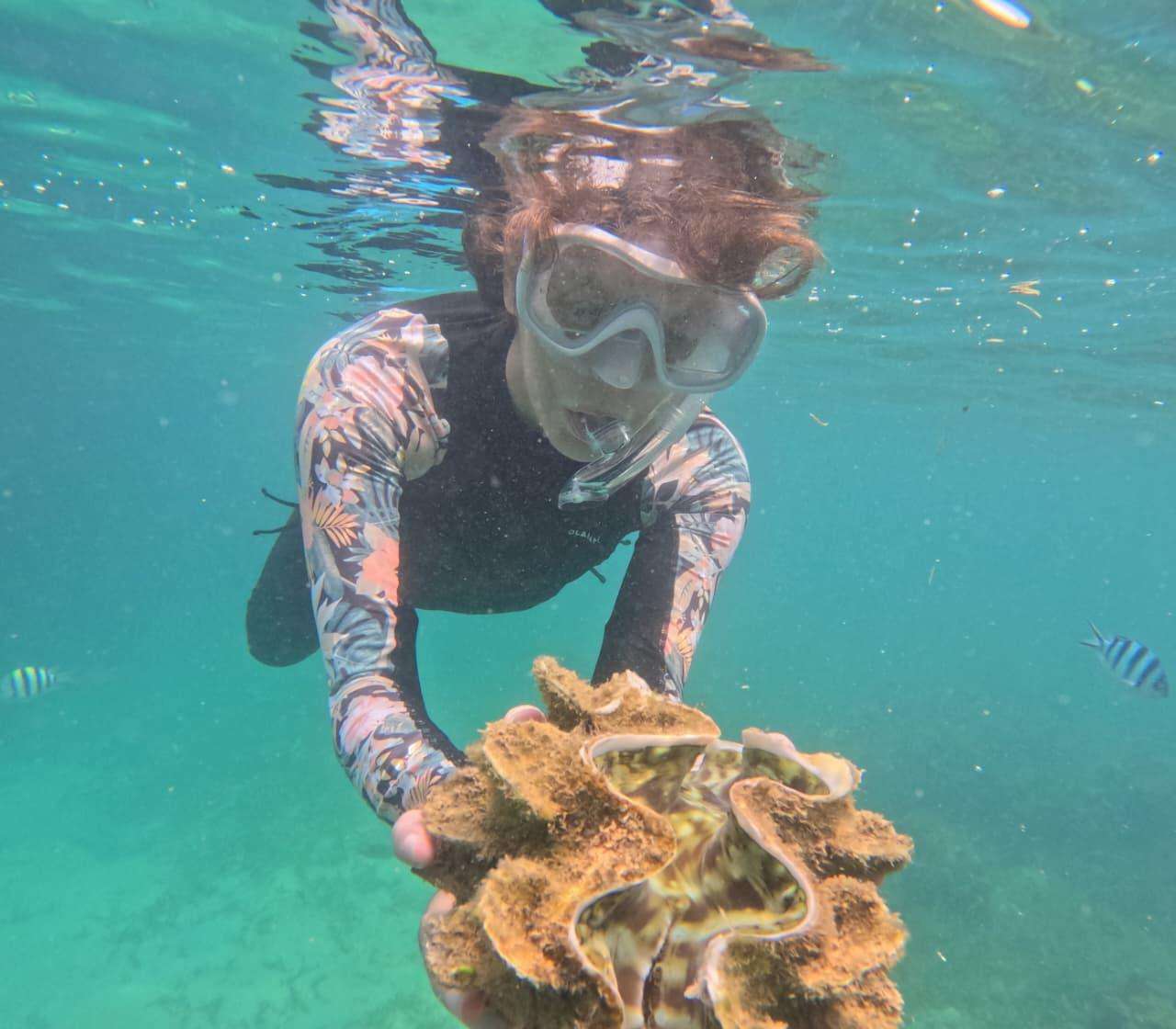 Snorkeling Tour & Hotel Pickup in this destination