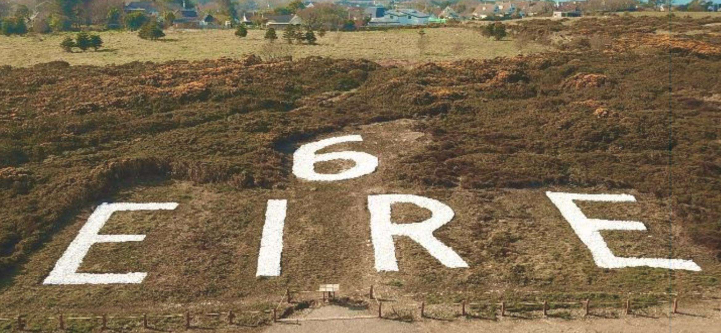 Galería de fotos para redes