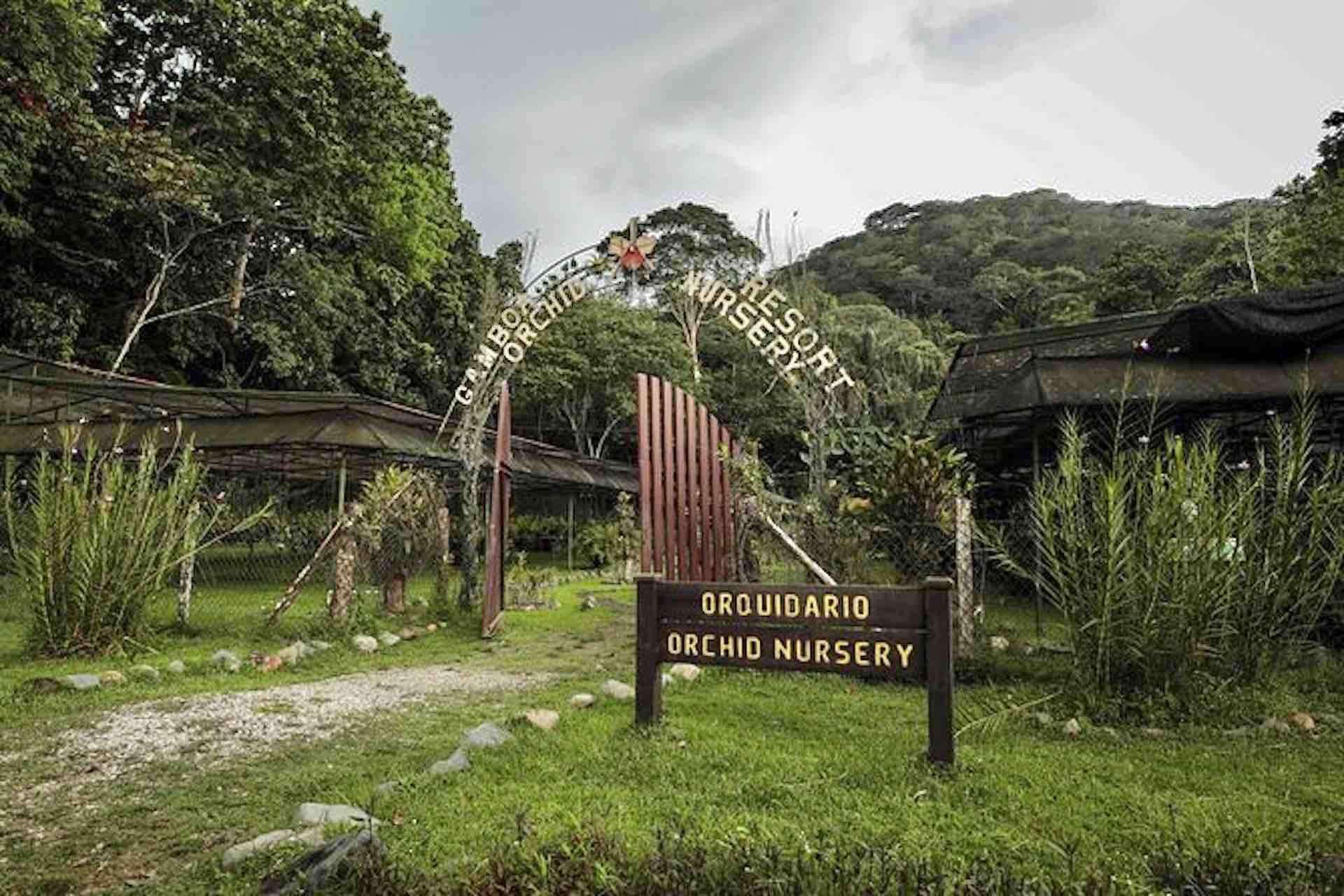 Colagem de mídia