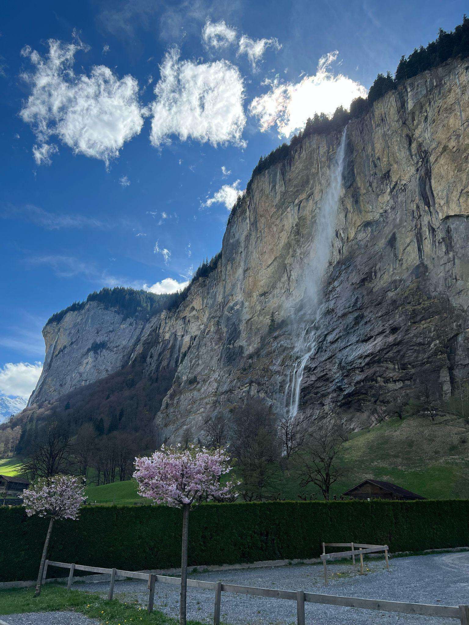 Galería de fotos para redes