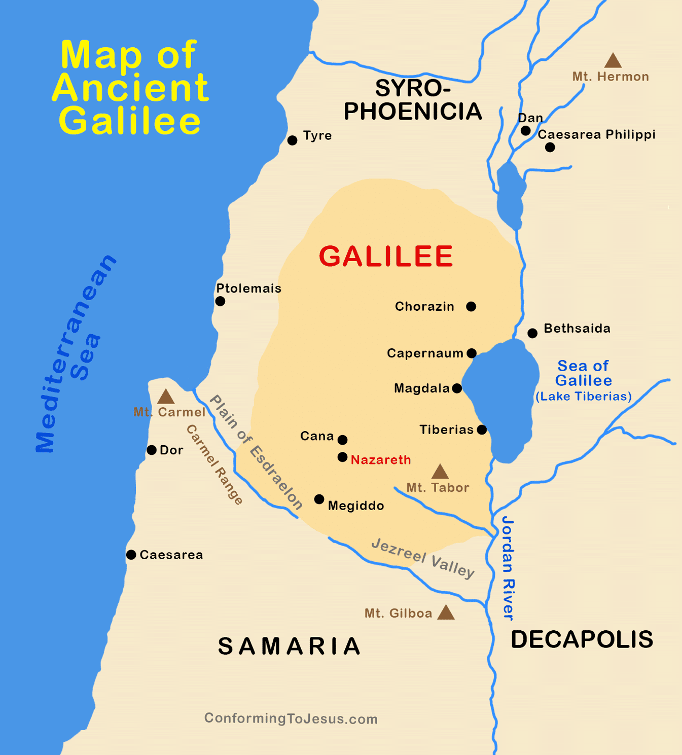 Galerie média