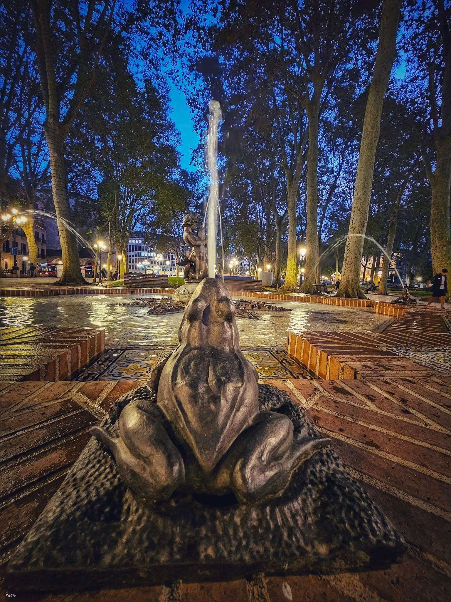 Galería de fotos para redes
