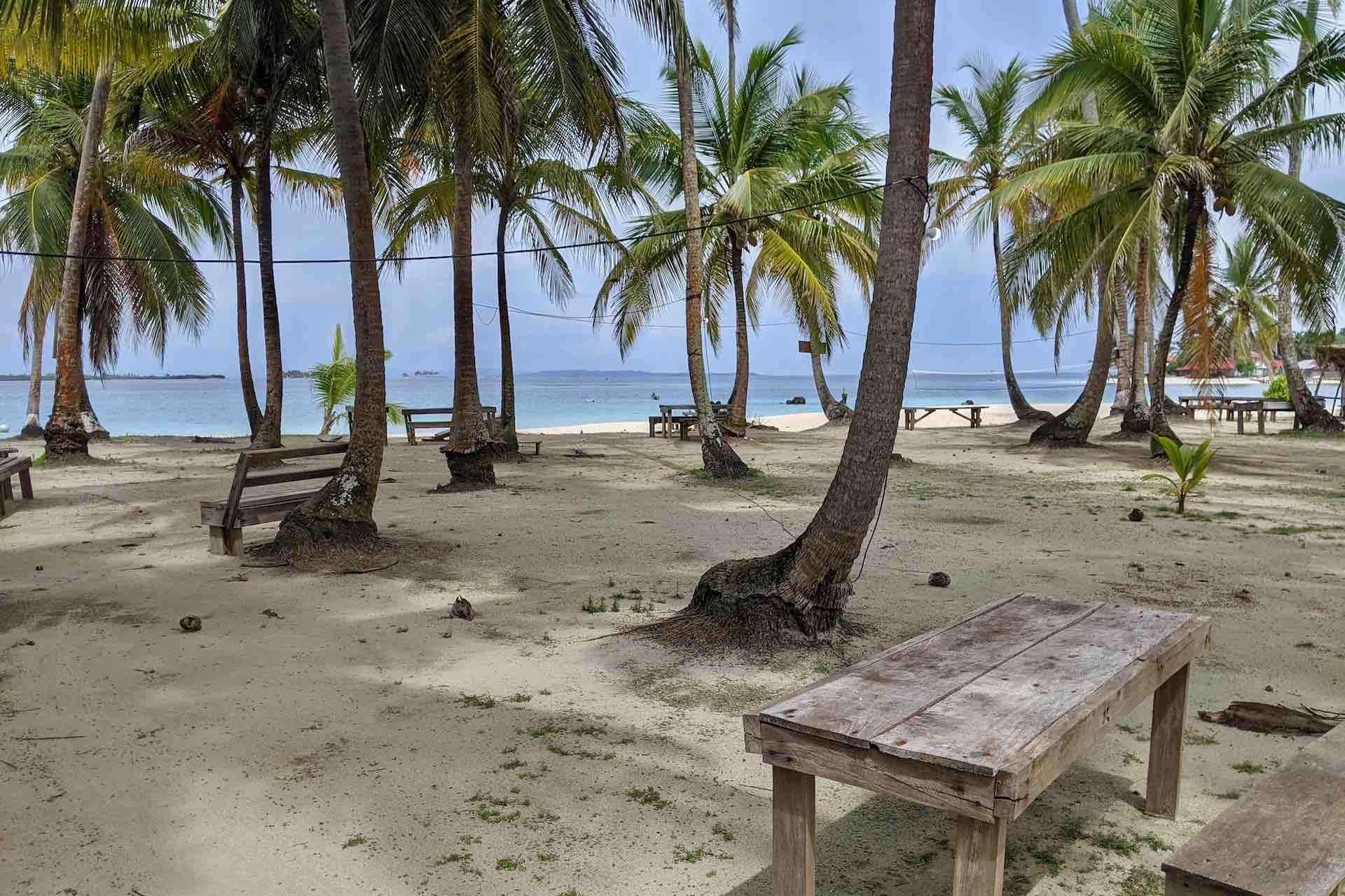 Galería de fotos para redes