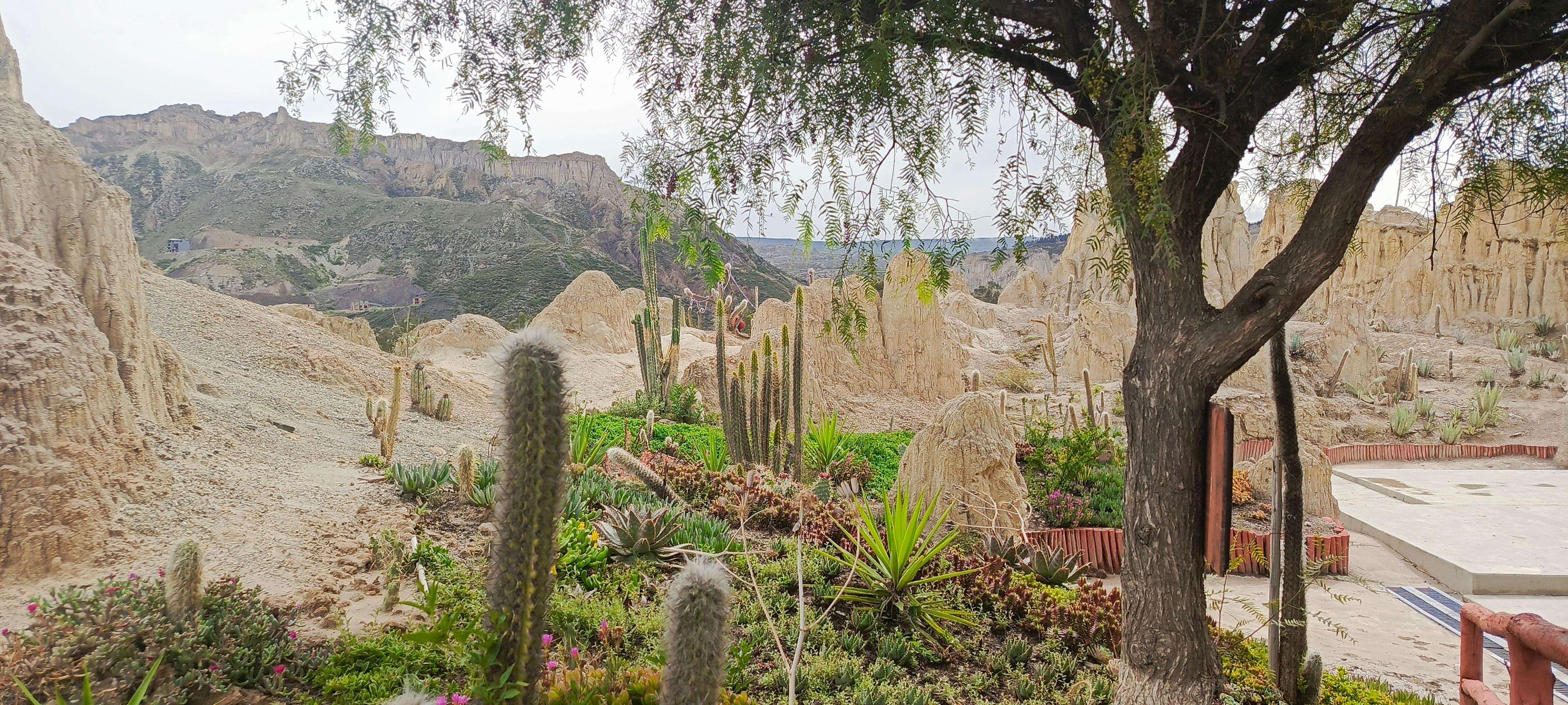 Colagem de mídia