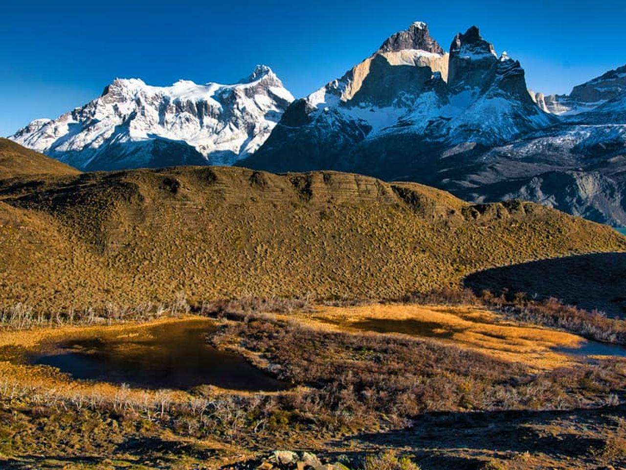 Galería de fotos para redes