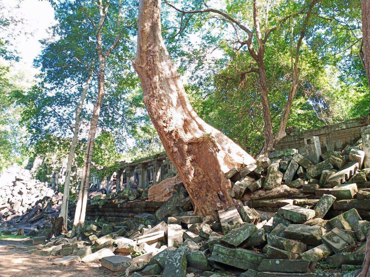 Colagem de mídia