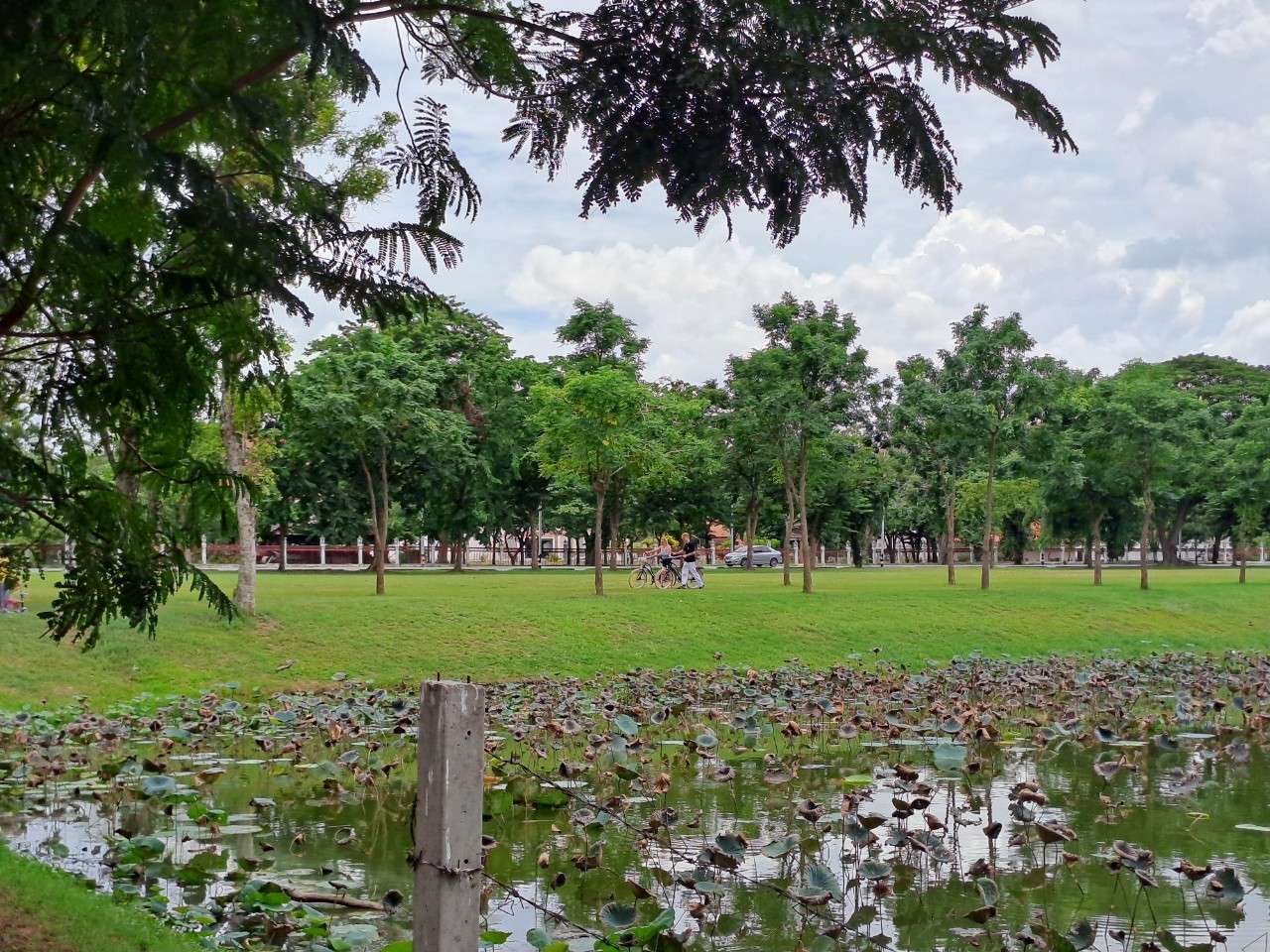 Colagem de mídia