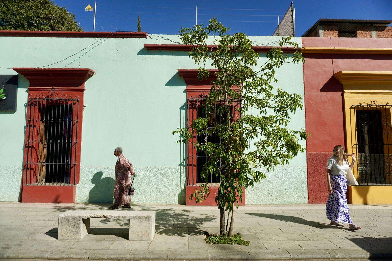 Galería de fotos para redes