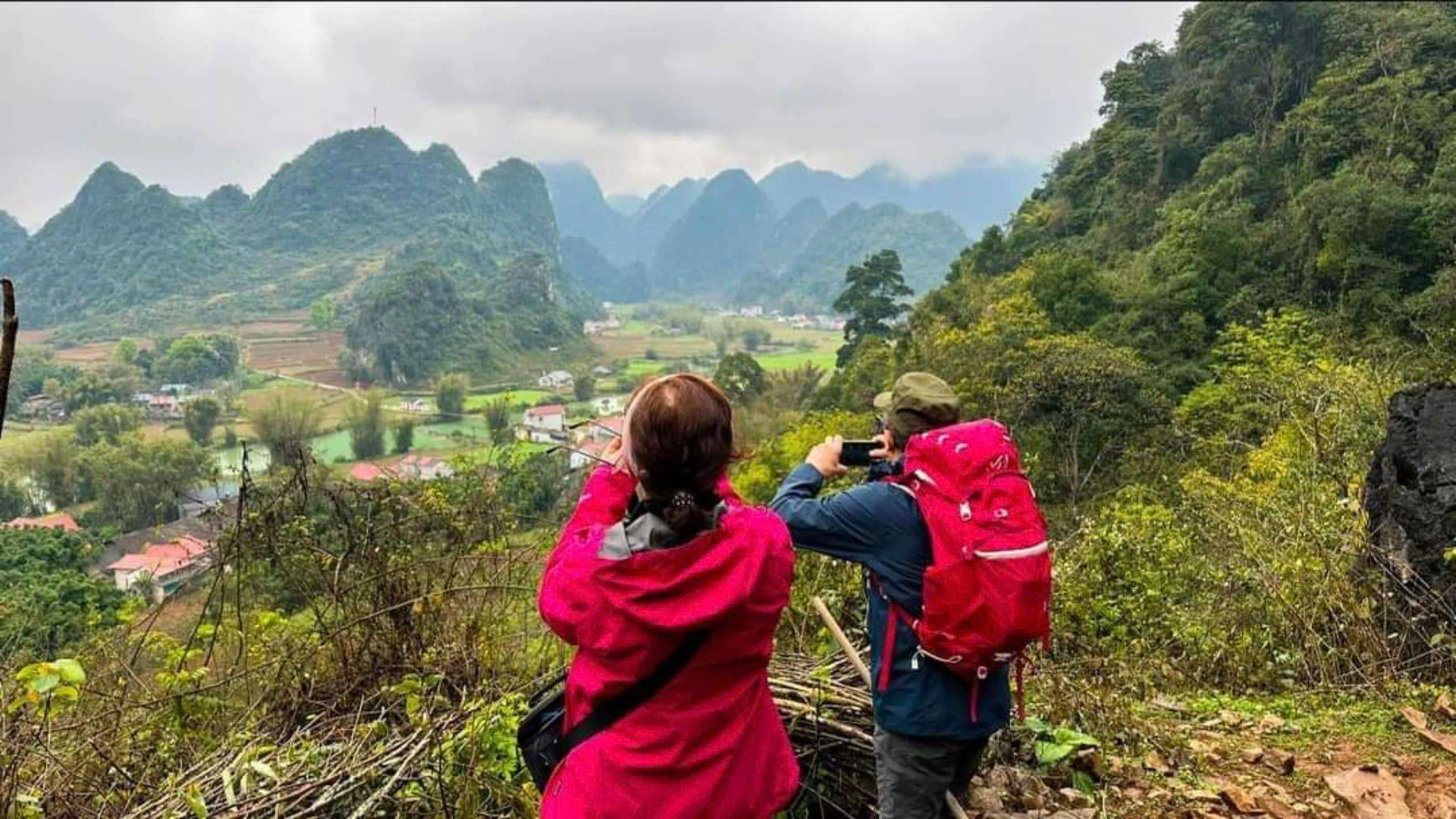 Galería de fotos para redes