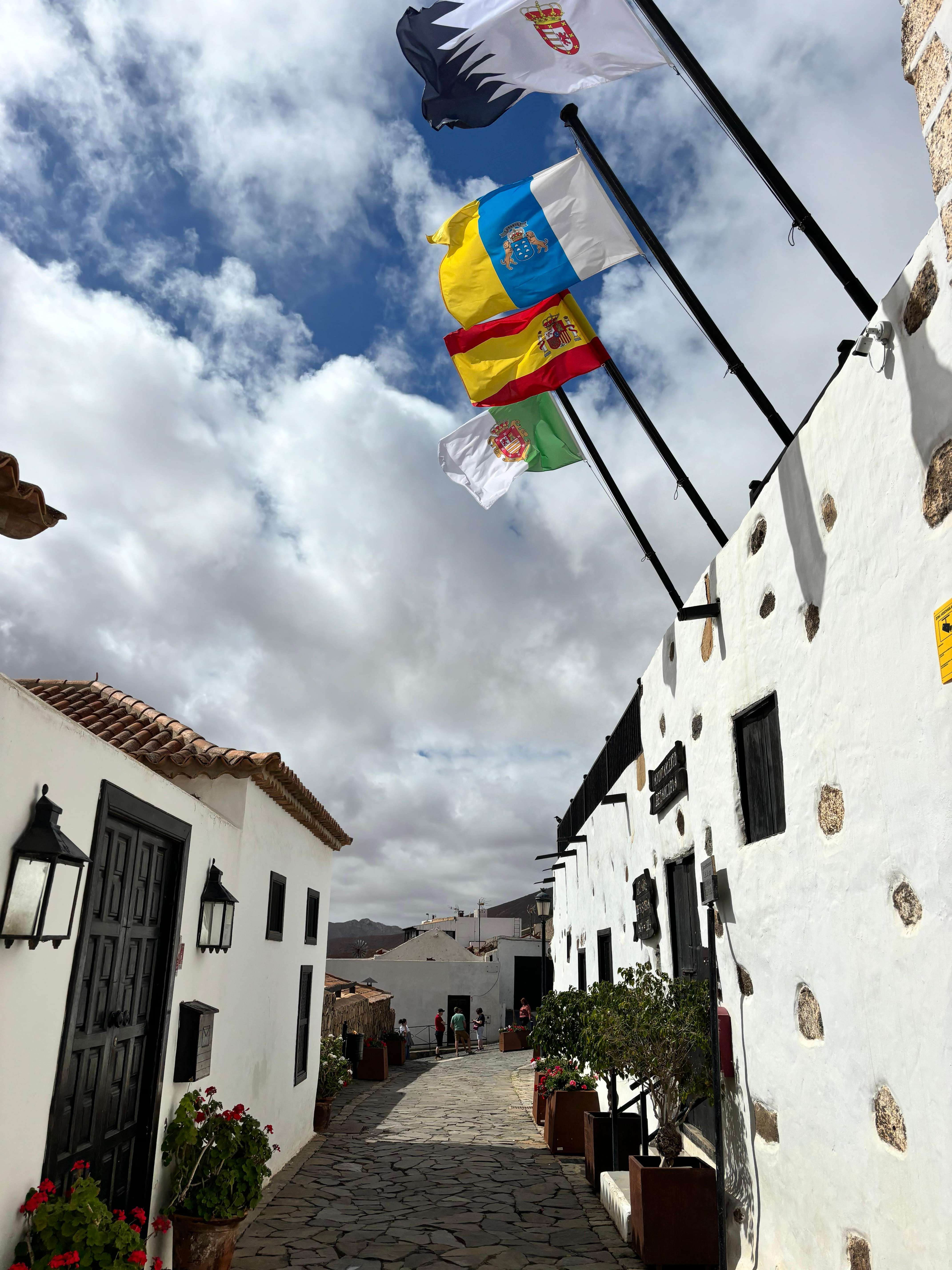 Galería de fotos para redes