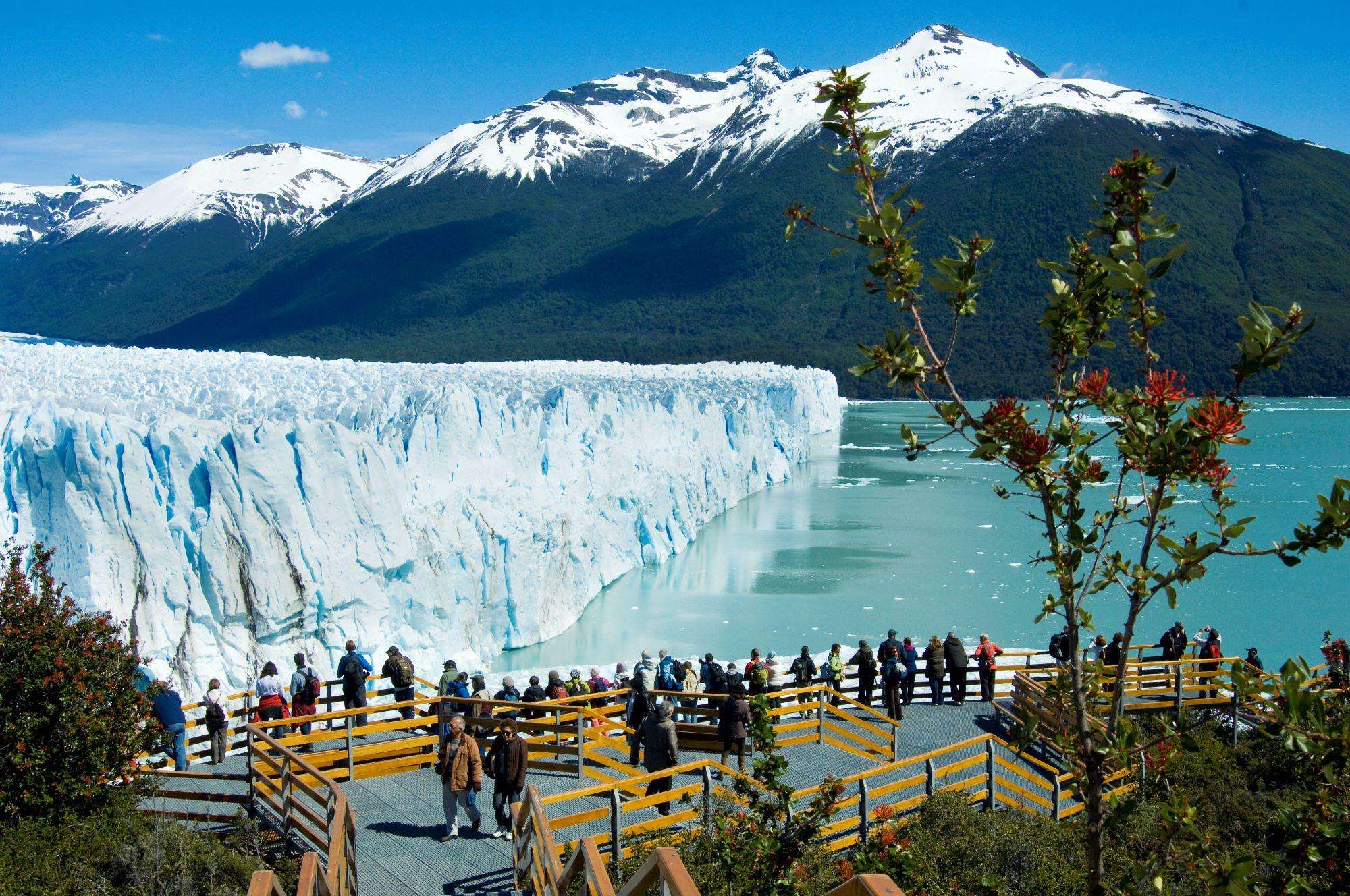 Galería de fotos para redes