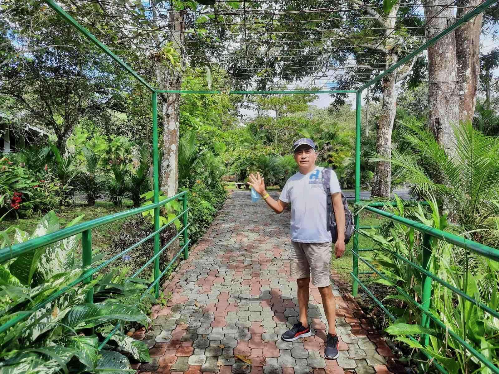 Colagem de mídia
