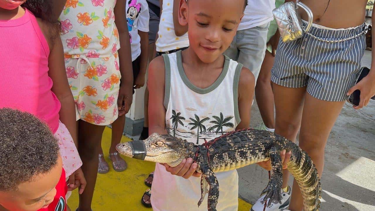 Colagem de mídia
